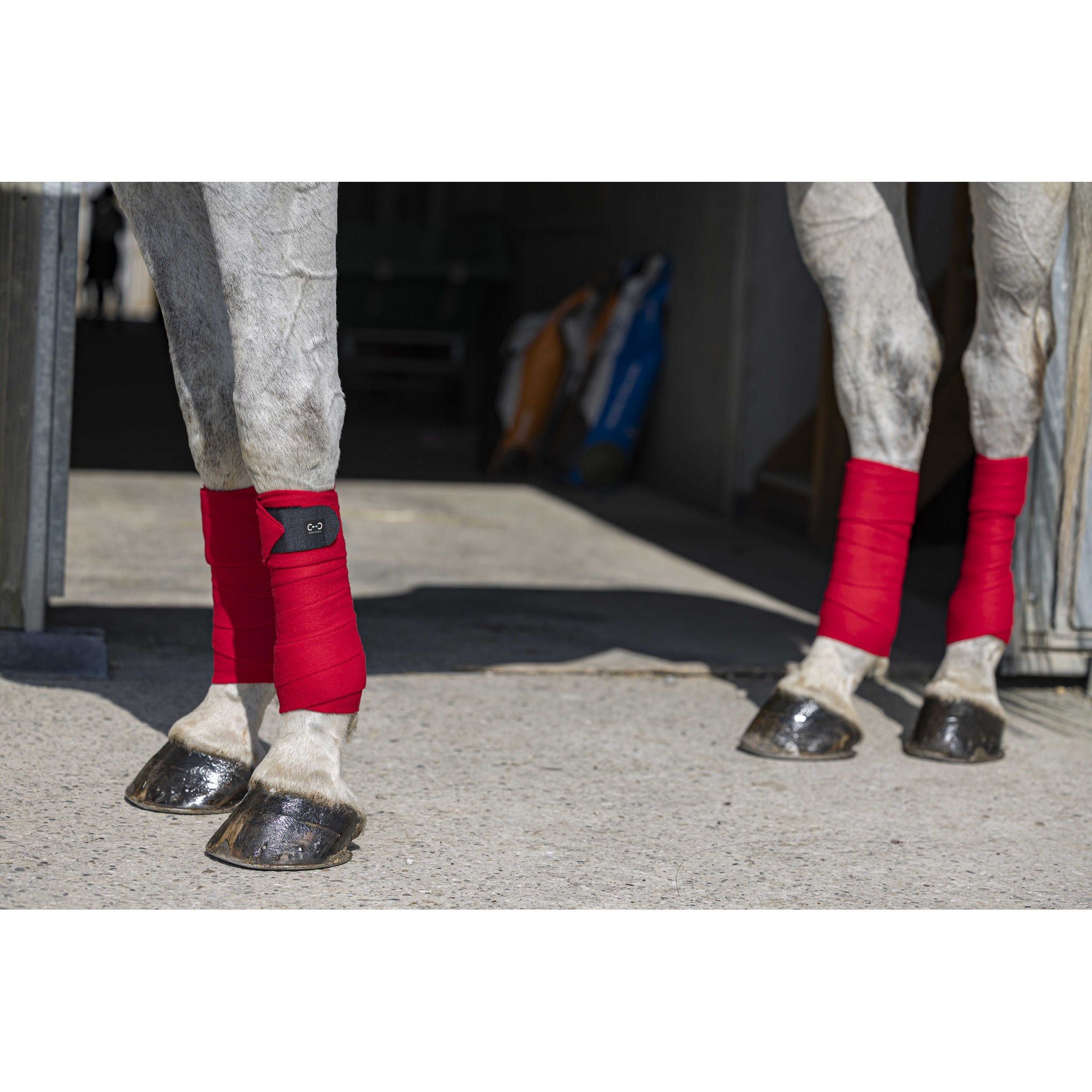Riding World Eco Polo Bandages Red 540072003