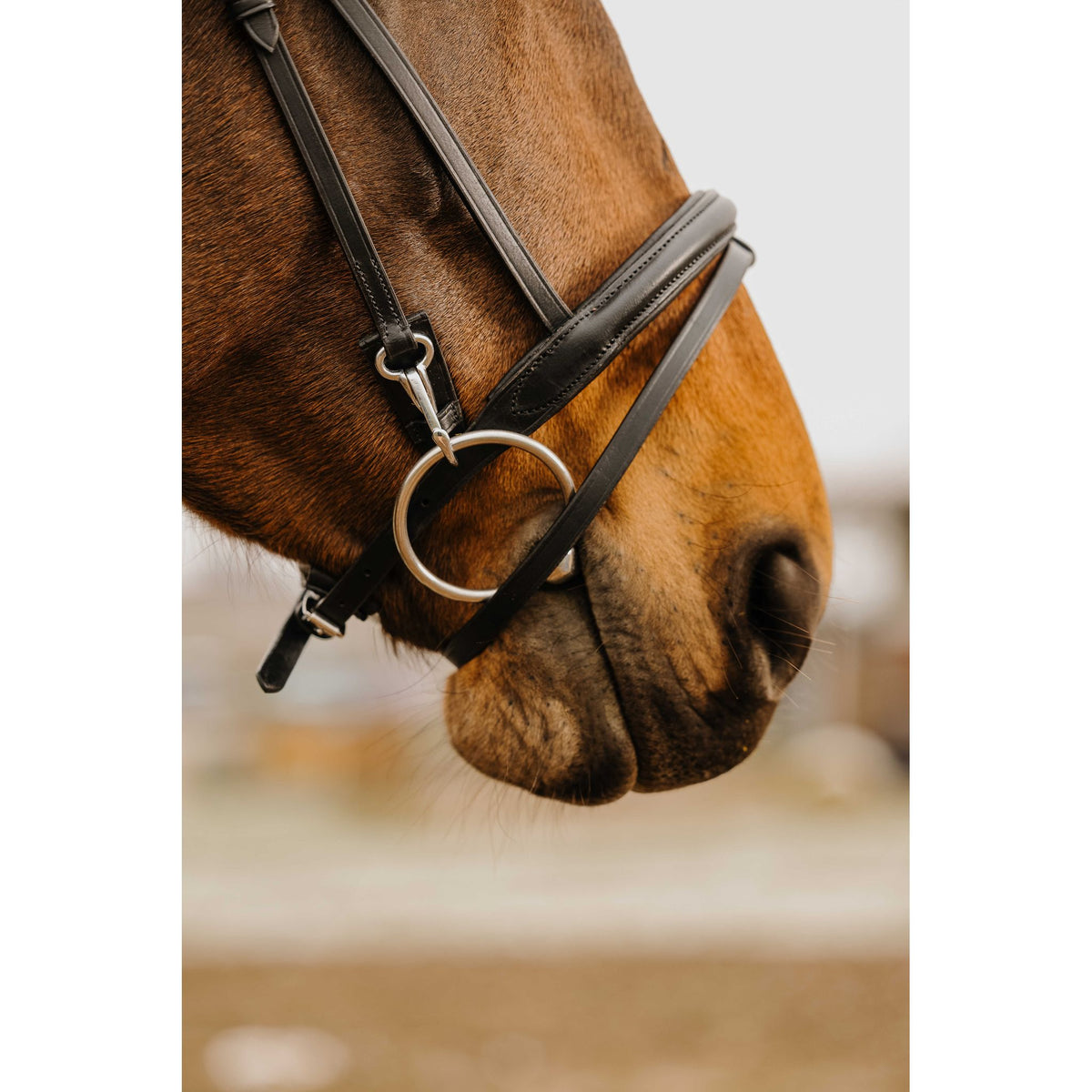 Norton Club Easy Bridle - Black - 301912302_ambi_2