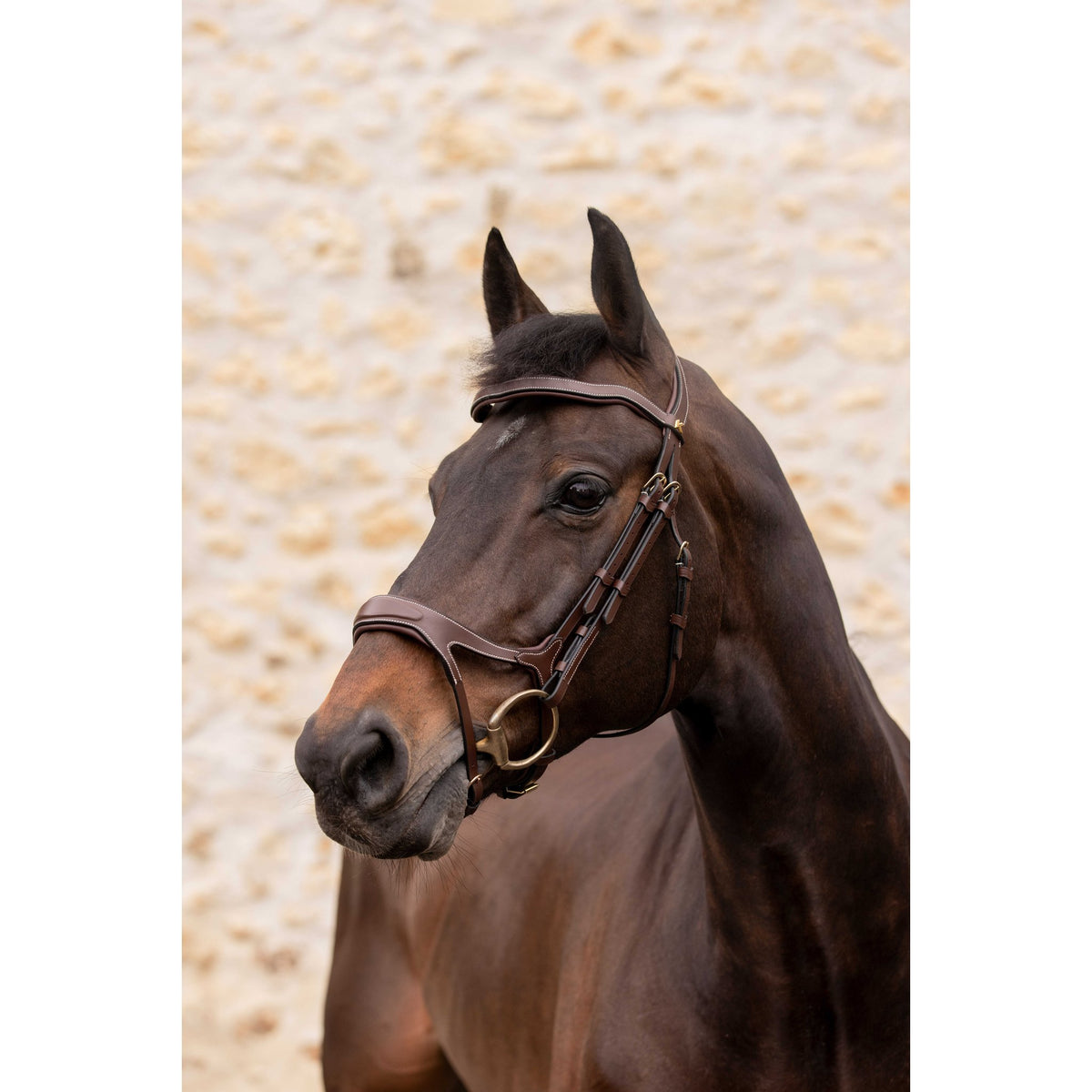 K by EQUITHÈME K-Kadence Bridle - Havana - 301974318_ambi_1