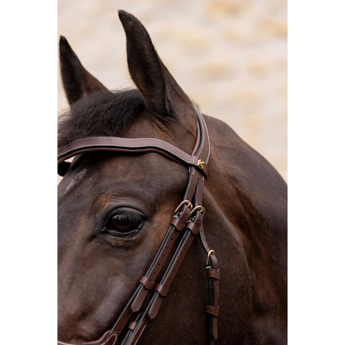 K by EQUITHÈME K-Kadence Bridle - Havana - 301974318_ambi_4