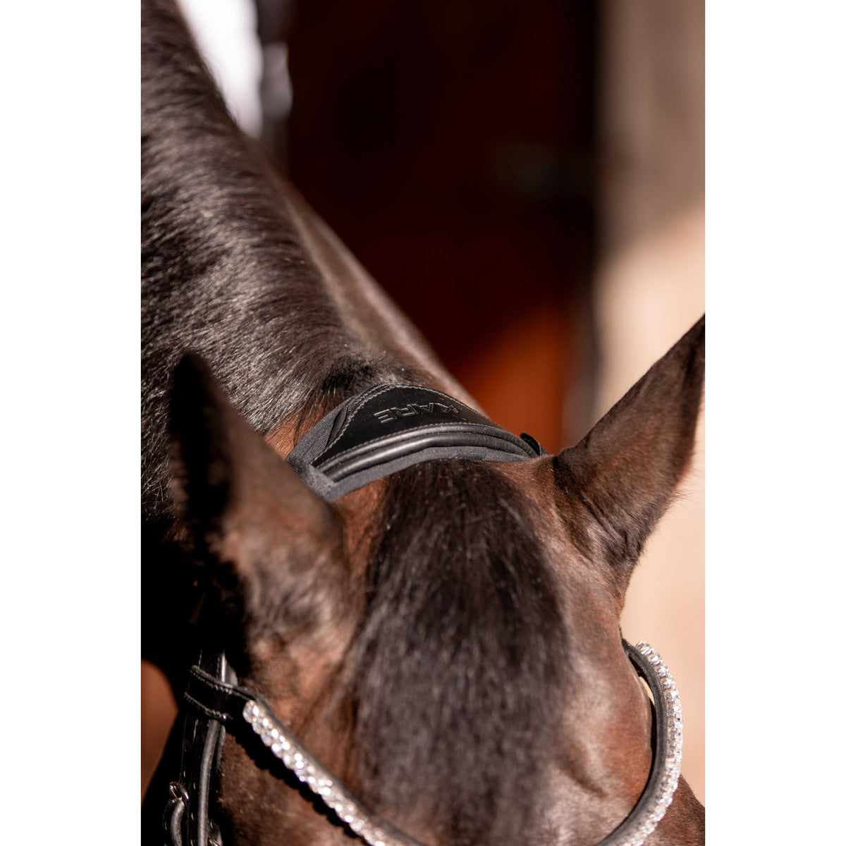 K by EQUITHÈME K-Kurve Bridle - Black - 303010302_ambi_24