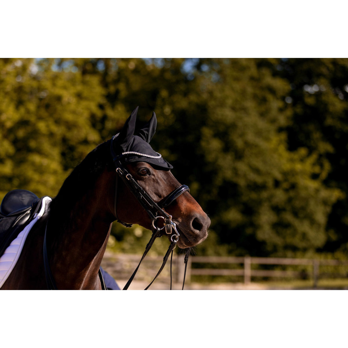 K by EQUITHÈME K-Kurve Bridle - Black - 303010302_ambi_3