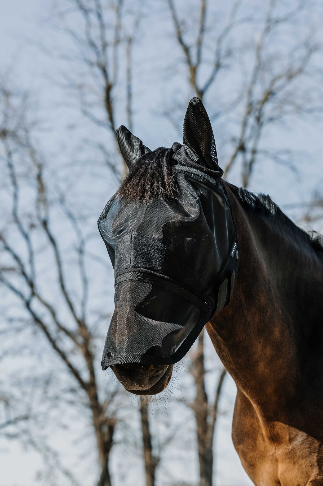 EQUITHÈME 2-in-1 UV Protective Fly Mask Black