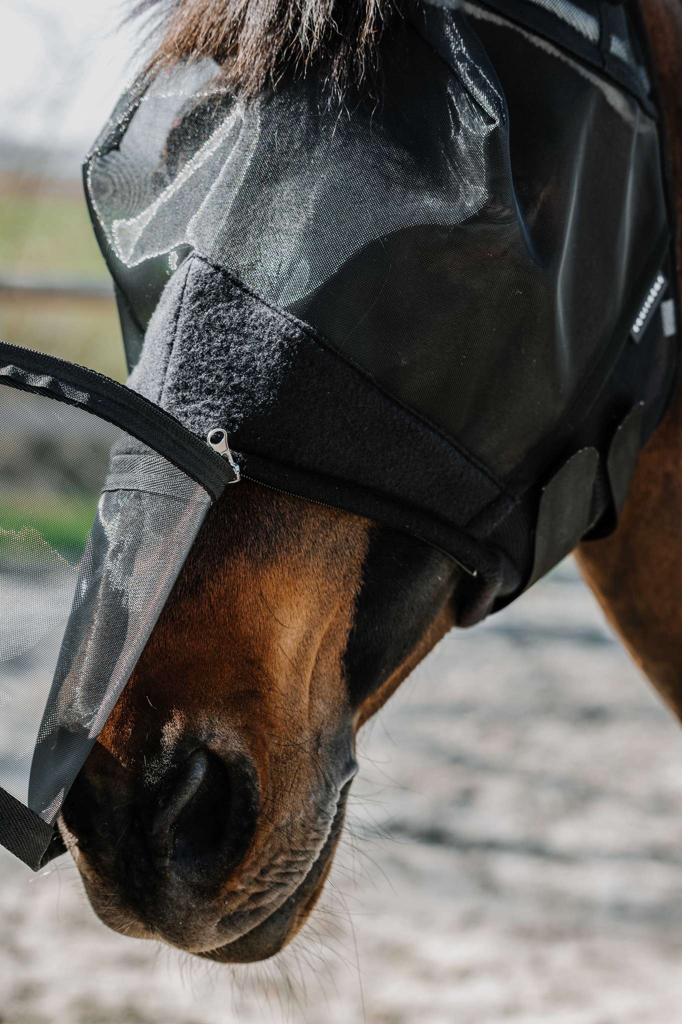 EQUITHÈME 2-in-1 UV Protective Fly Mask Black