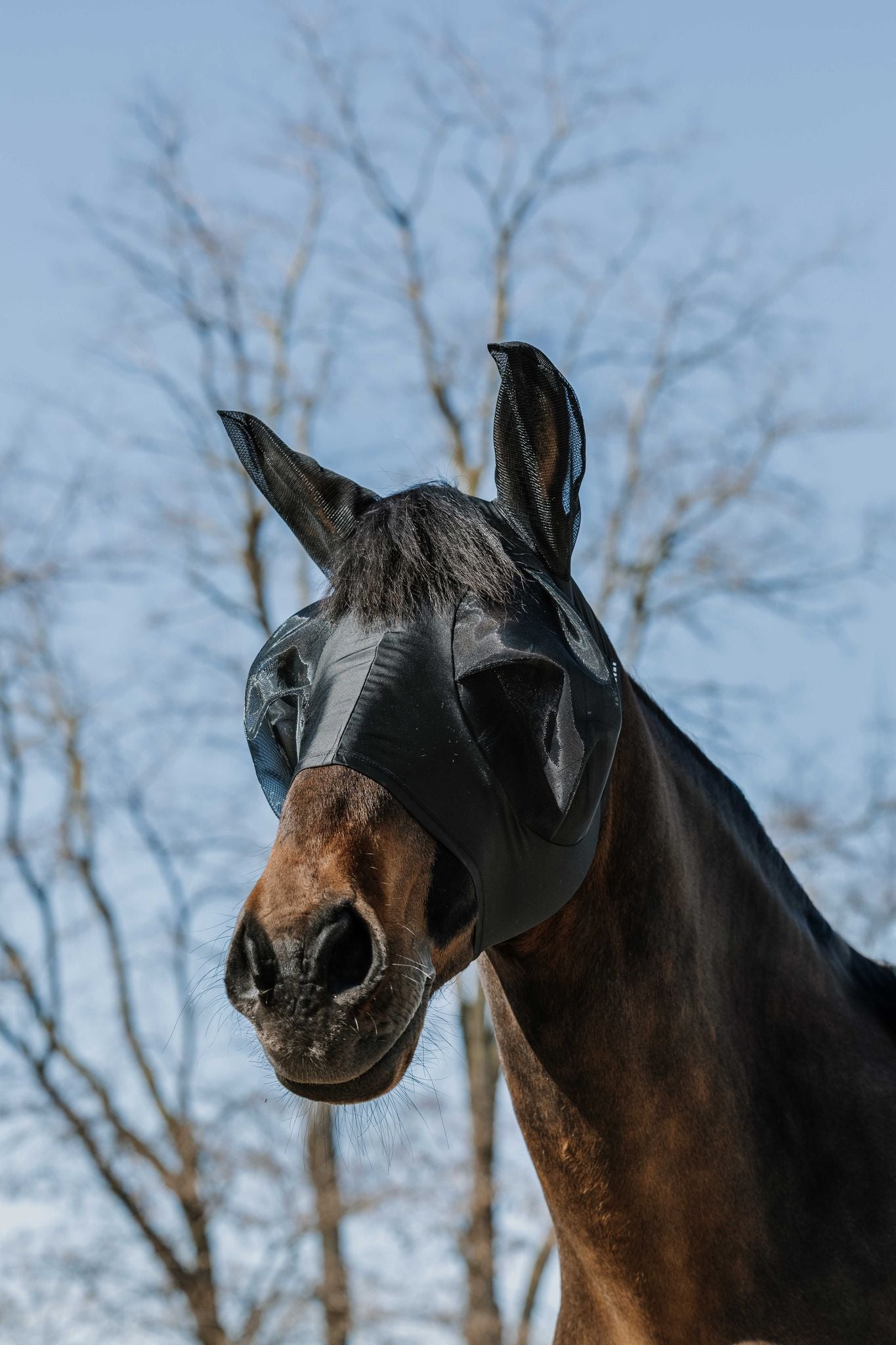 EQUITHÈME Lycra UV Protective Fly Mask Black