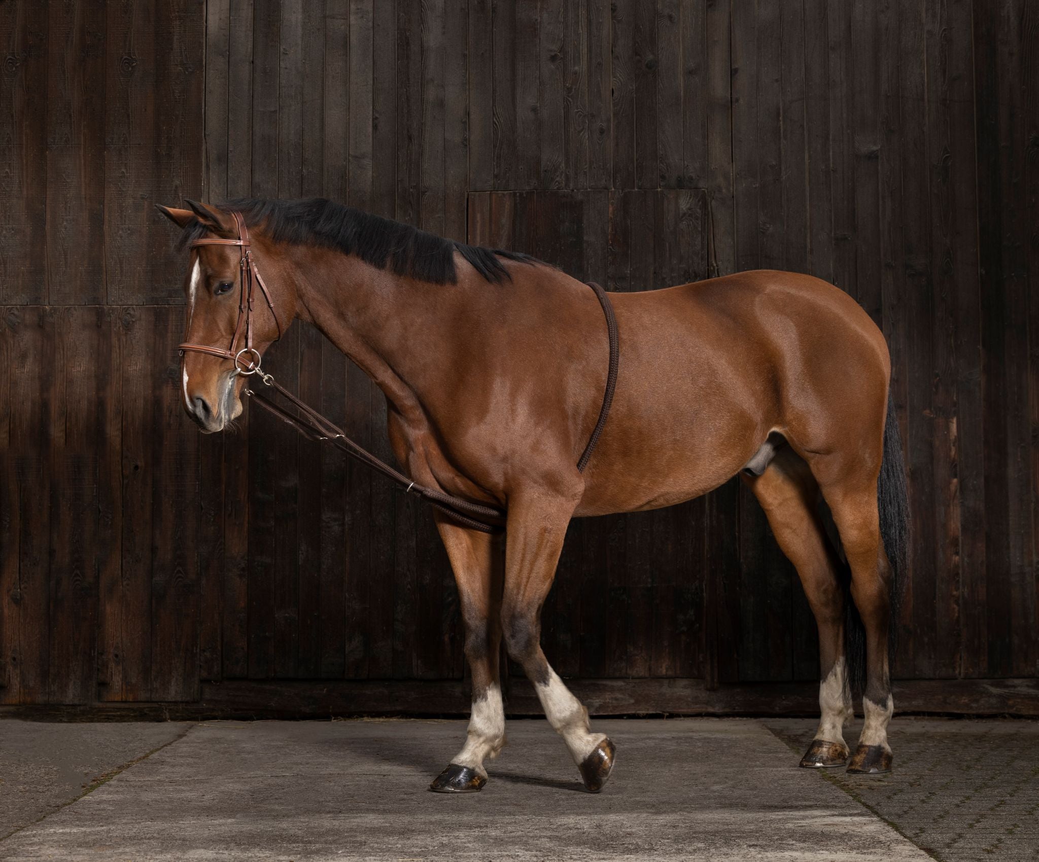 Norton Gentle stretching training aid Chocolate