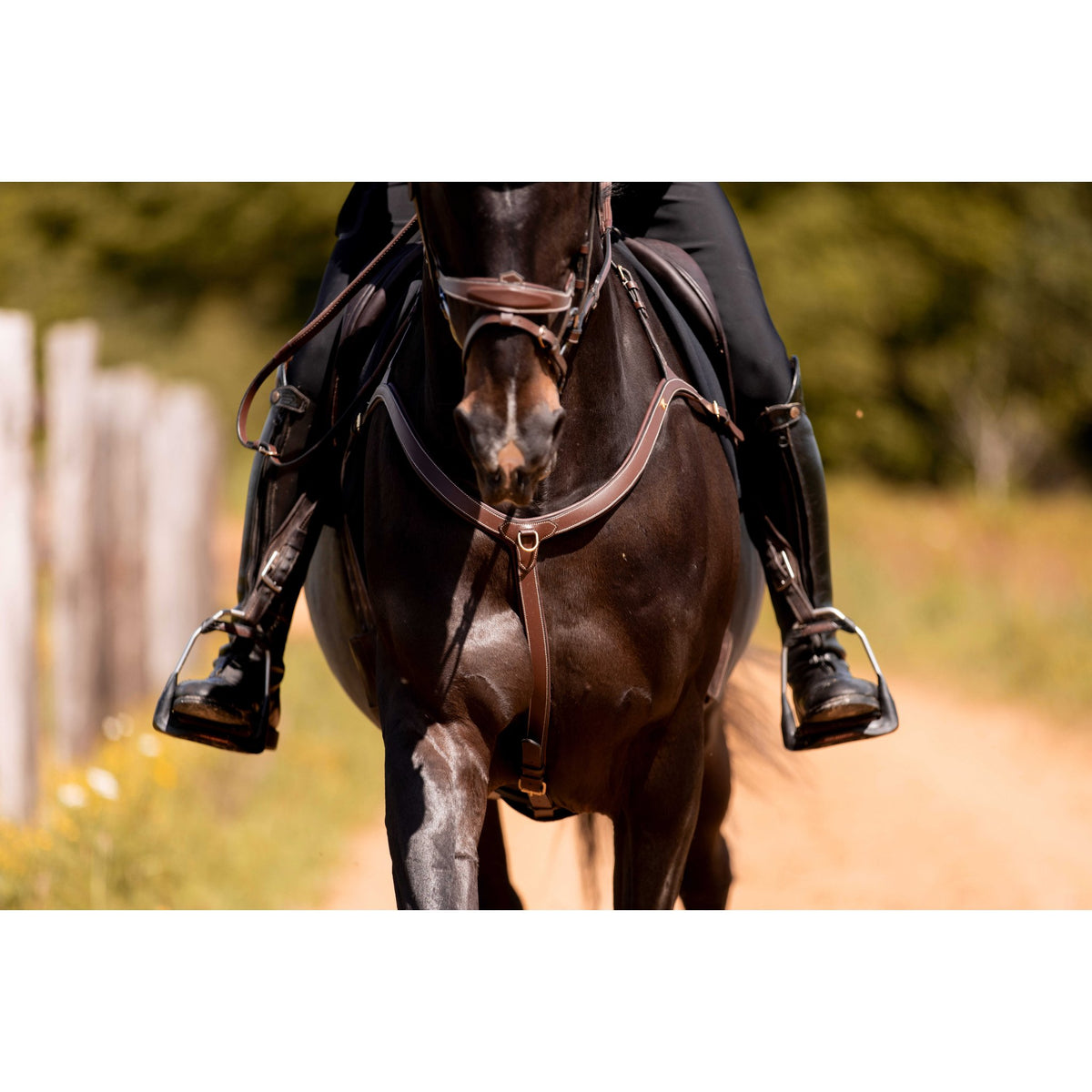 K by EQUITHÈME K-Kontour Breastplate - Havana - 306625318_ambi_1