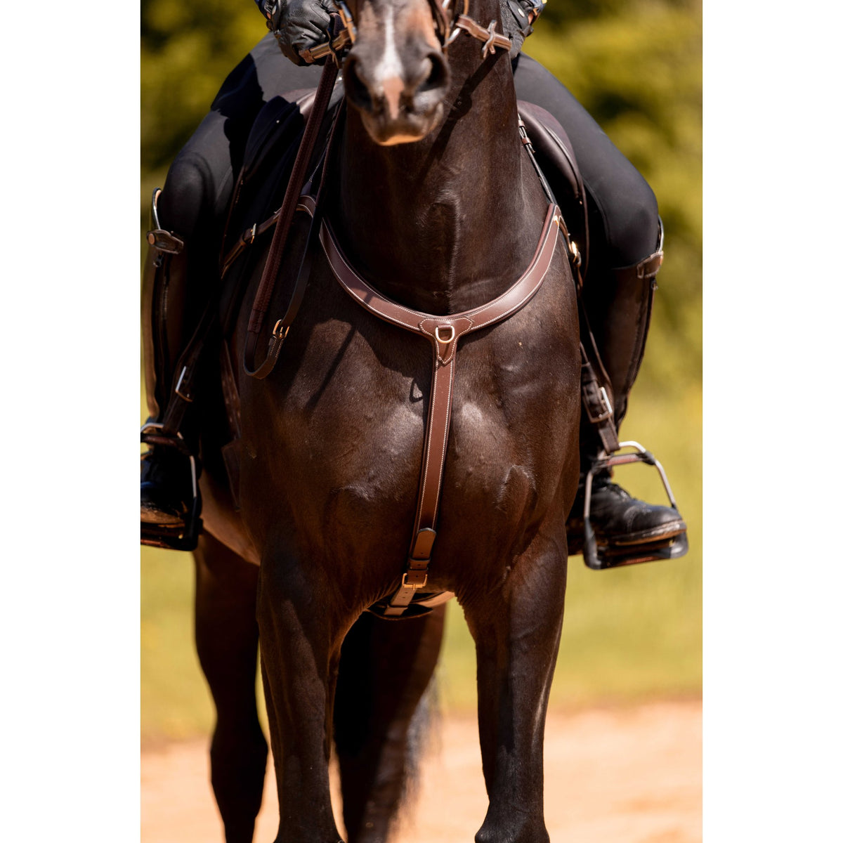 K by EQUITHÈME K-Kontour Breastplate - Havana - 306625318_ambi_2