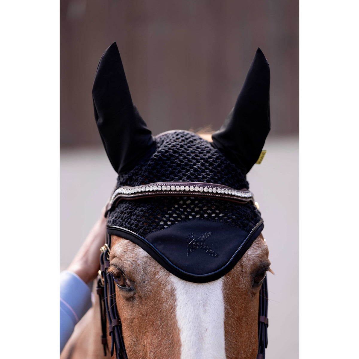 K by EQUITHÈME K-Vega Fly Veil - Black - 306895302_ambi_3