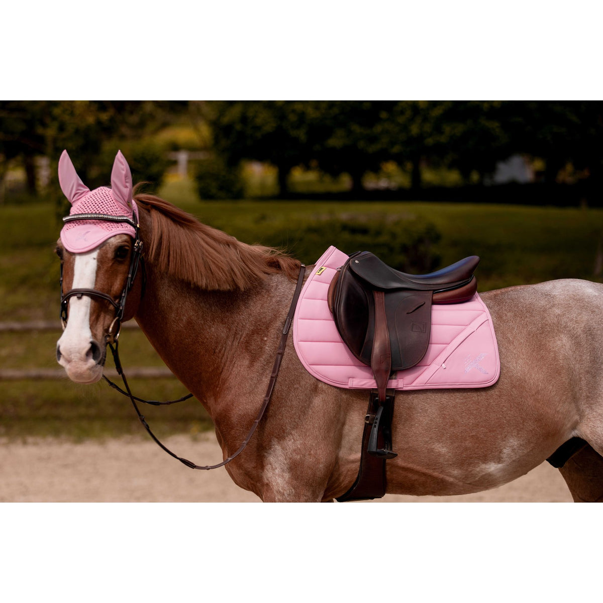 K by EQUITHÈME K-Vega Fly Veil - Pink - 306895313_ambi_2