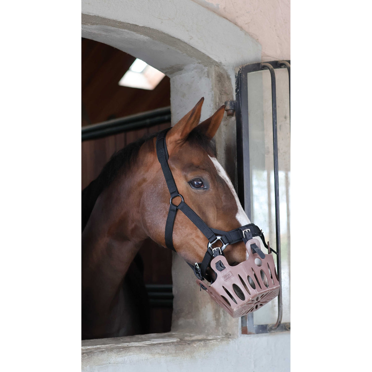 Lami-Cell 2-in-1 Halter for Grazing Muzzle - 309003302_ambi_8