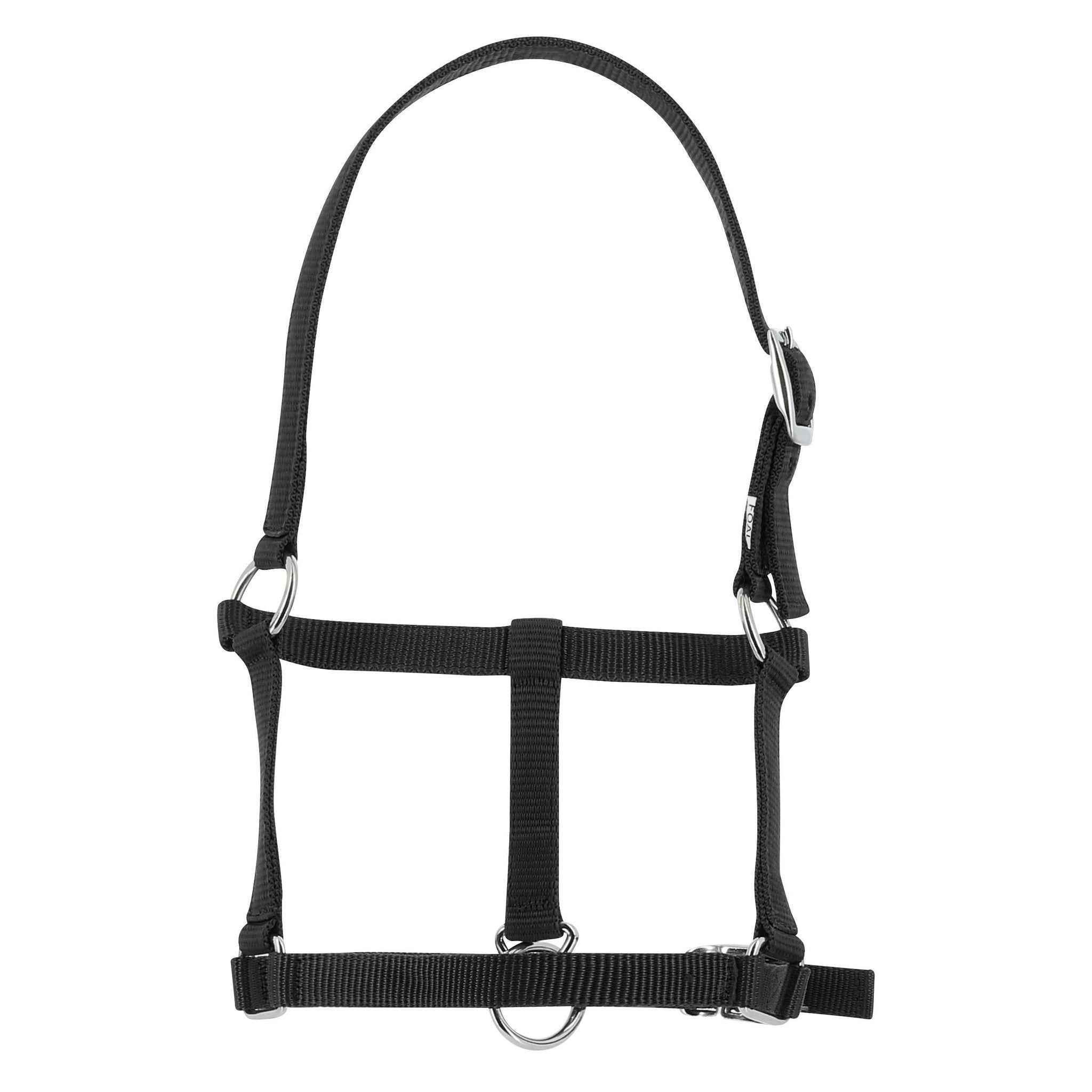 Riding World Foal Halter Black 510241002