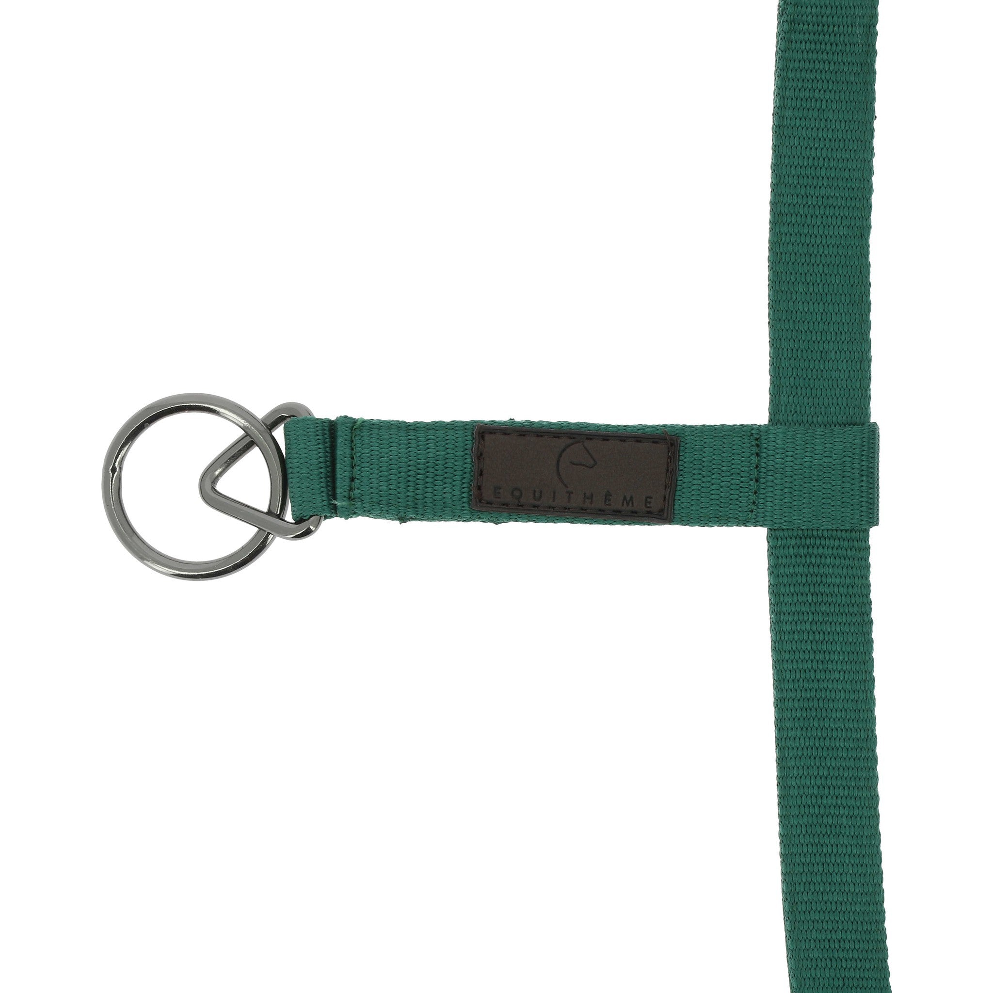 EQUITHÈME 3D Mesh Halter Green 510261309