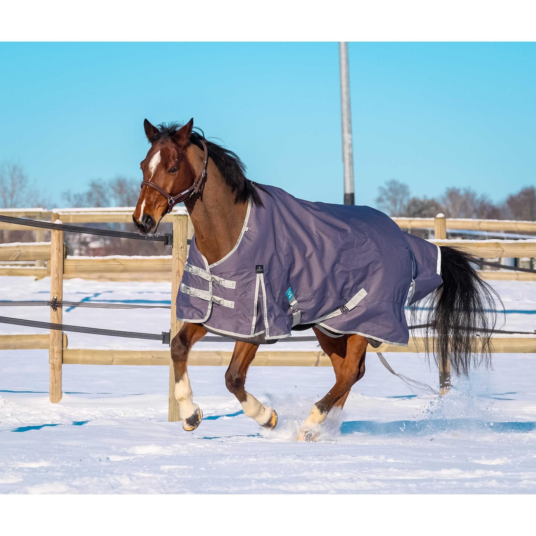 EQUITHÈME Tyrex 1200D Recycled turnout Rug - Standard Taupe 400759063
