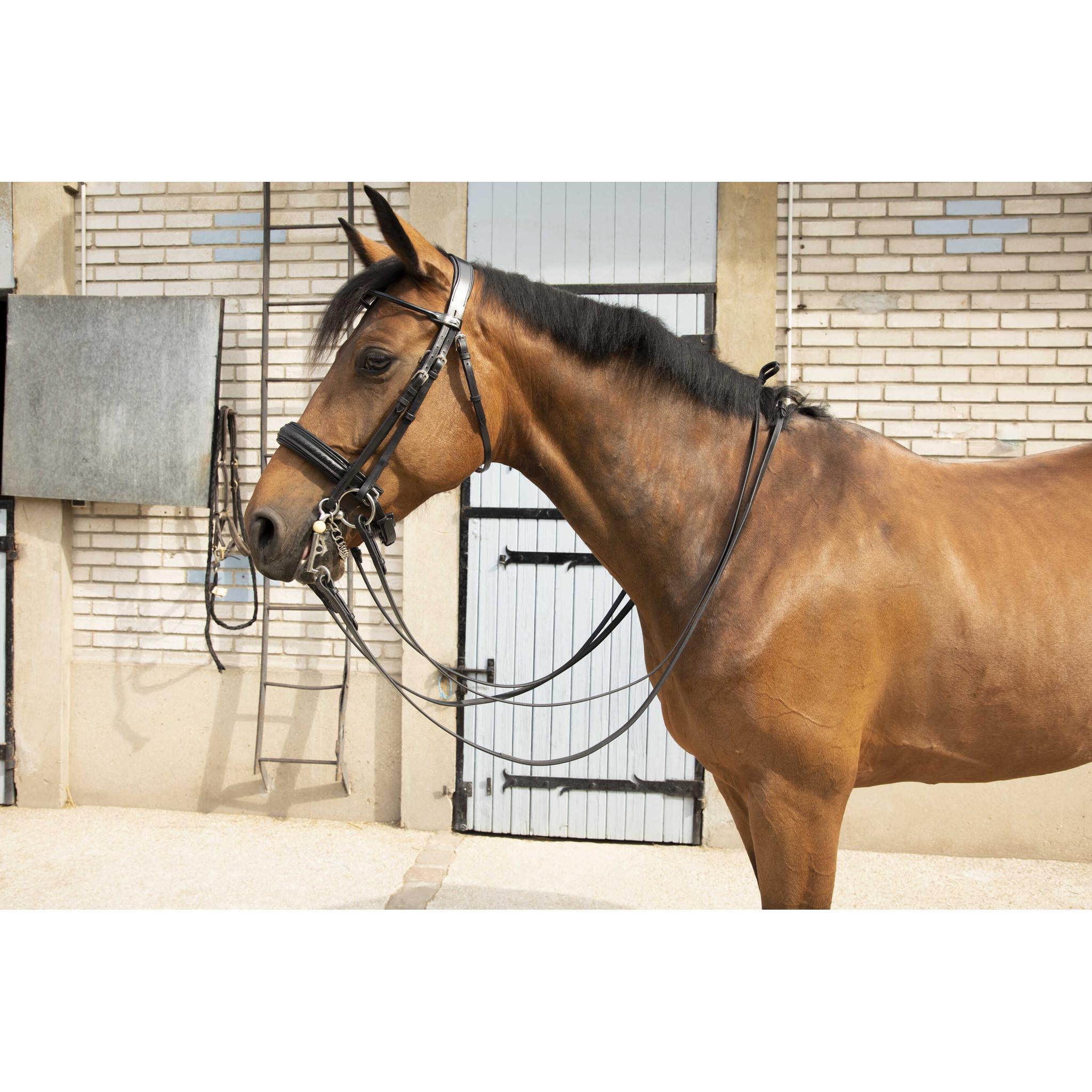Penelope Point Sellier Bridle Black - 303100202_ambi_4