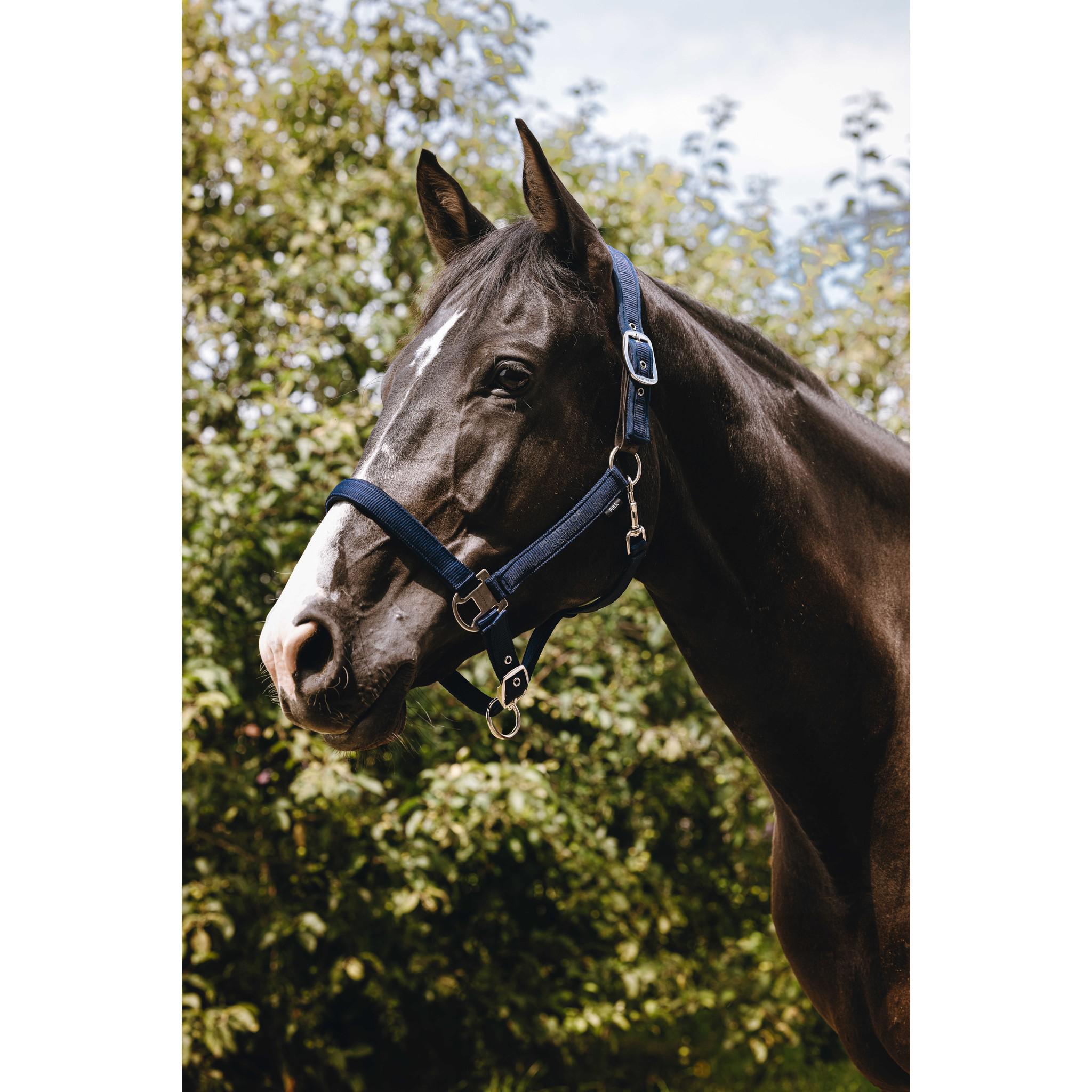 EQUITHÈME Protector Halter Navy blue 510263307