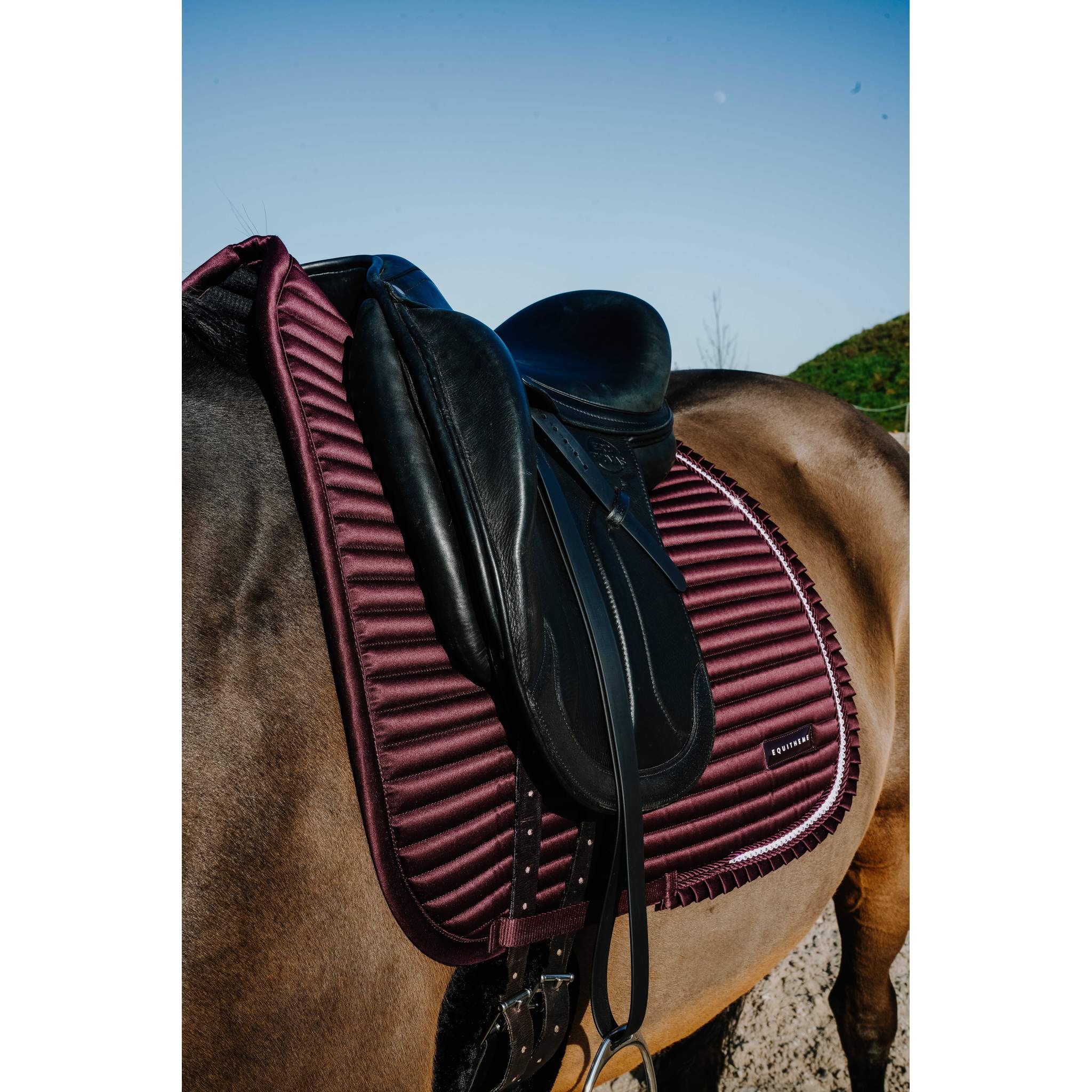 EQUITHÈME Glam Dressage Saddle Pad Burgundy - 204025033_ambi_2