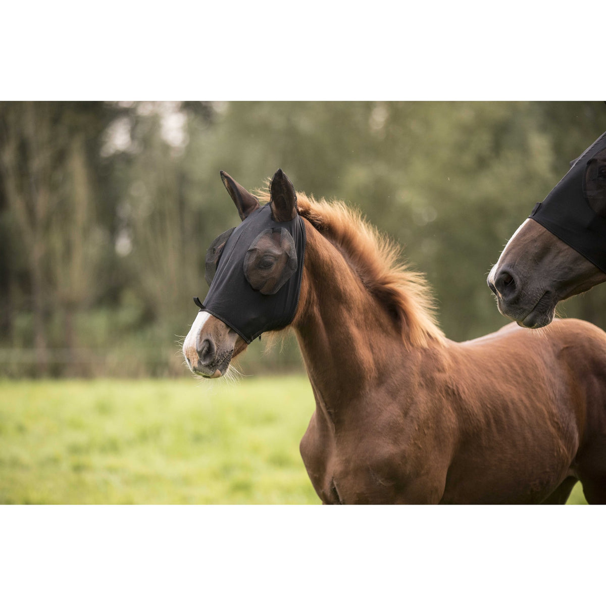 Lami-Cell Lycra Fly Mask - Black - 320035202_ambi_1