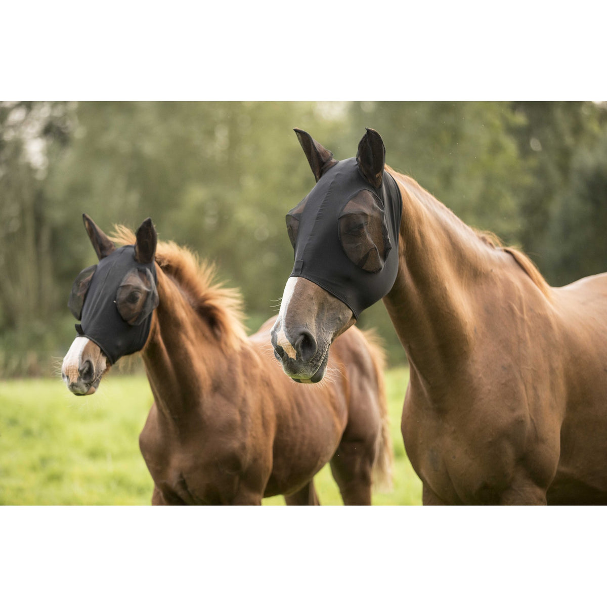 Lami-Cell Lycra Fly Mask - Black - 320035202_ambi_2