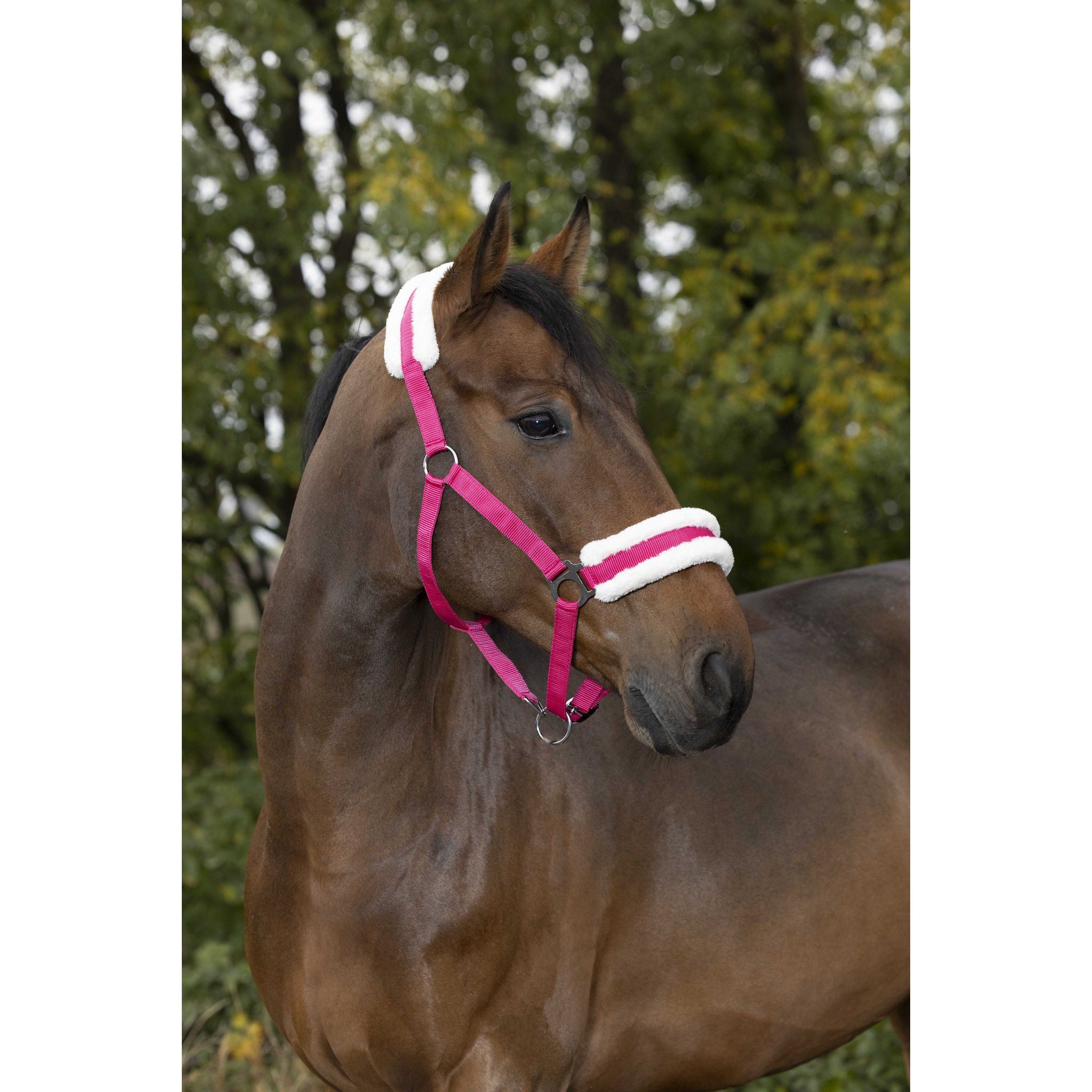 Norton Confort Halter Raspberry 510016335