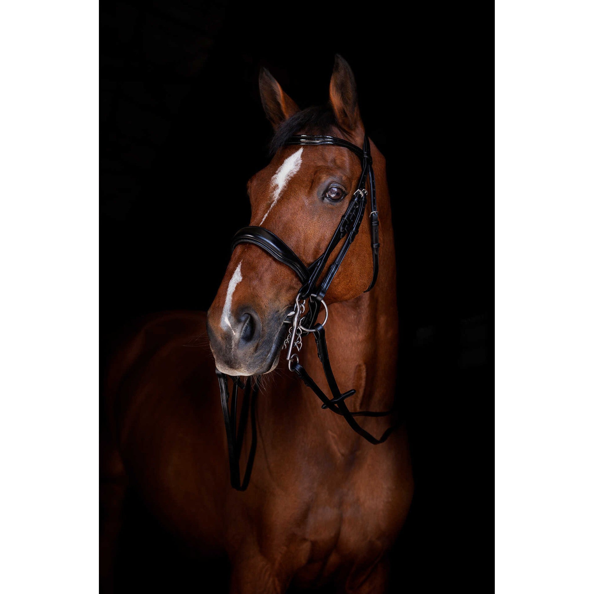 Eric Thomas Elite Bridle Reins Black - 305654302_ambi_2