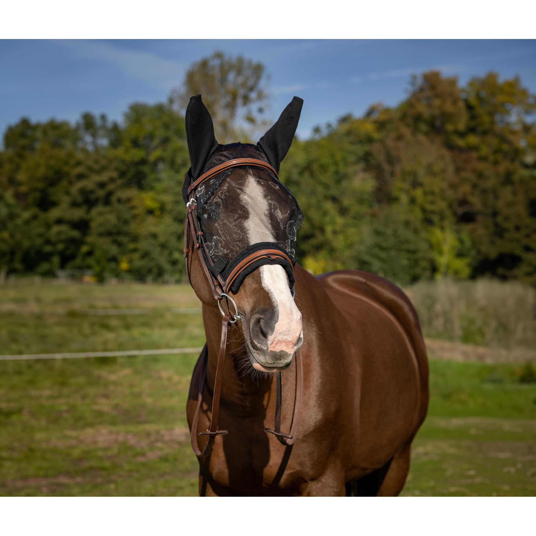 EQUITHÈME Training Anti-UV Fly Mask - Black - 306009201_ambi_3