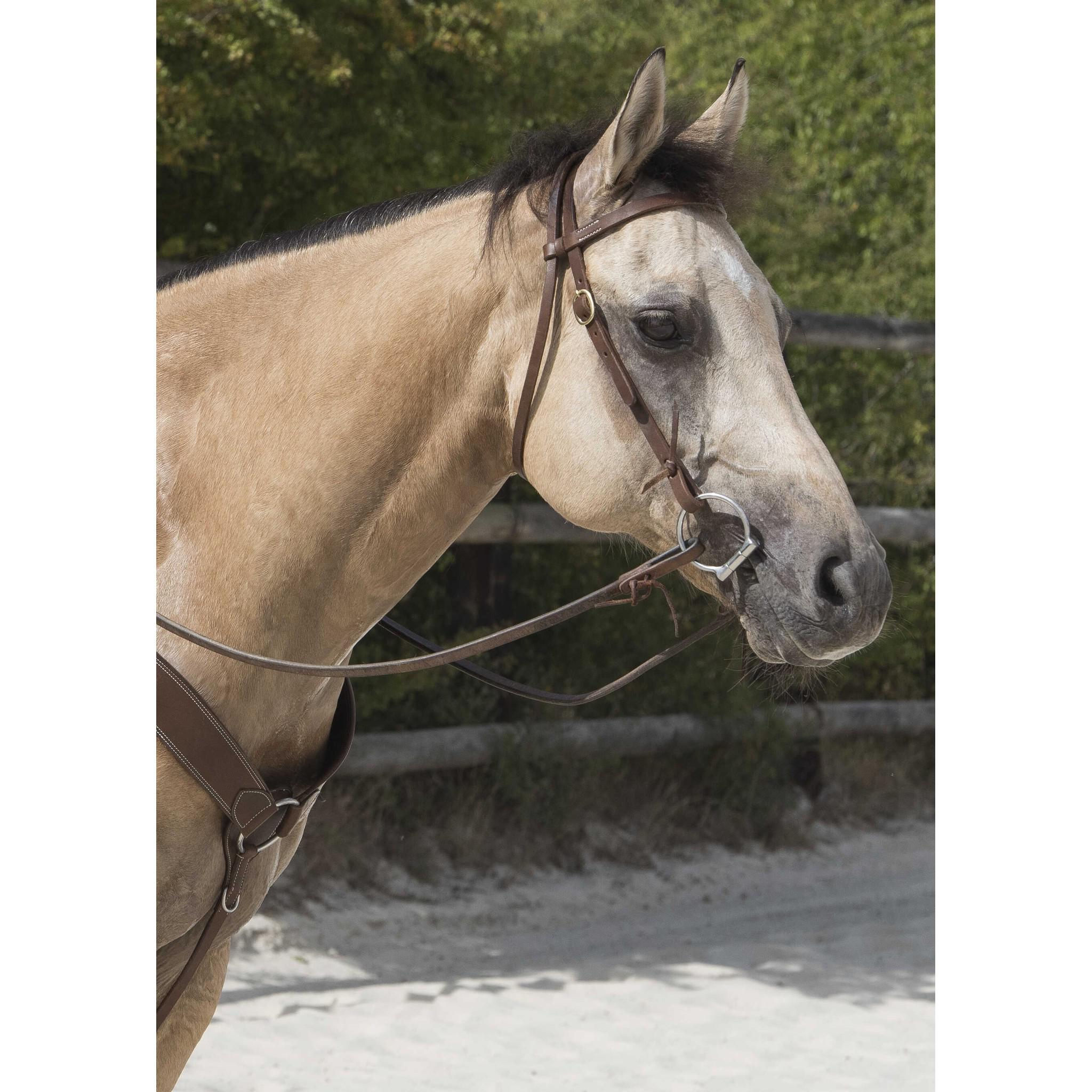 Westride Colorado Bridle by Franck Perret Chocolate 802062318