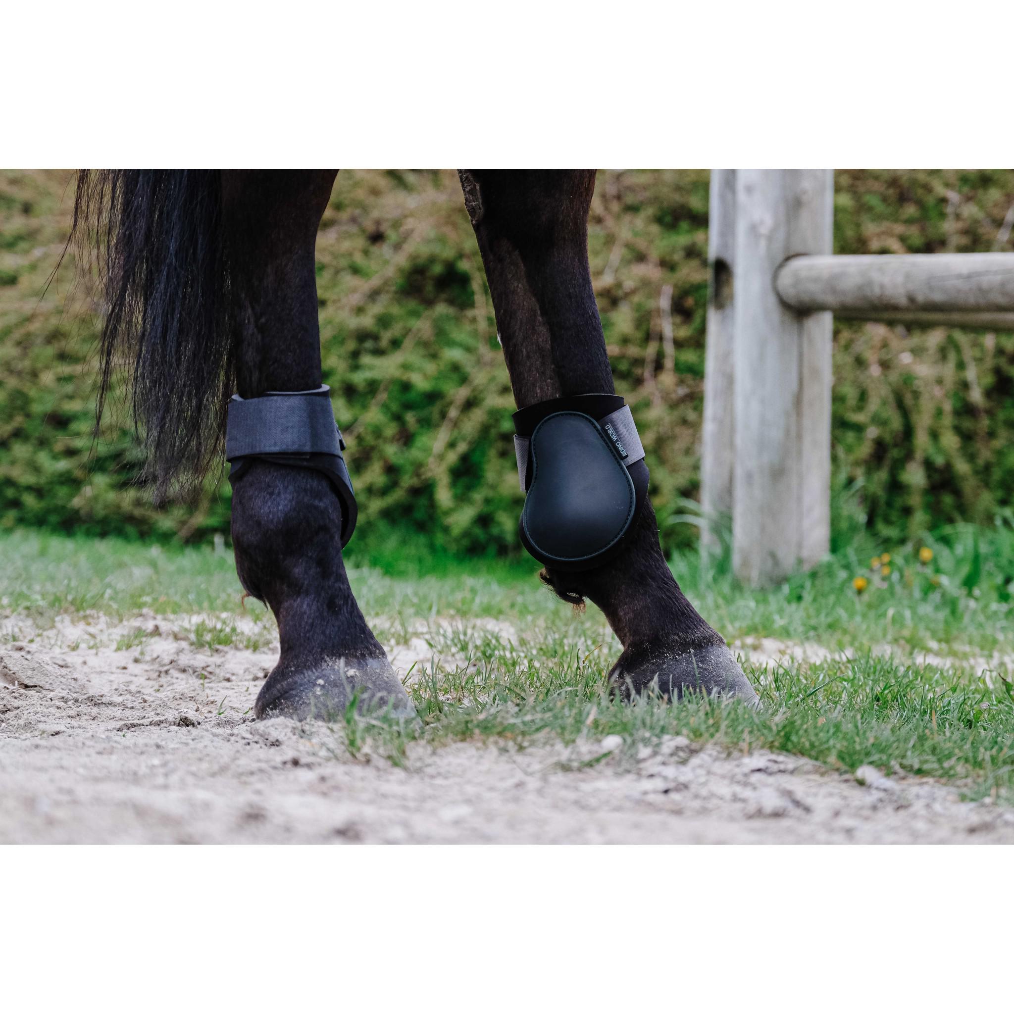 Riding World Fetlock boots Dark green 530122009