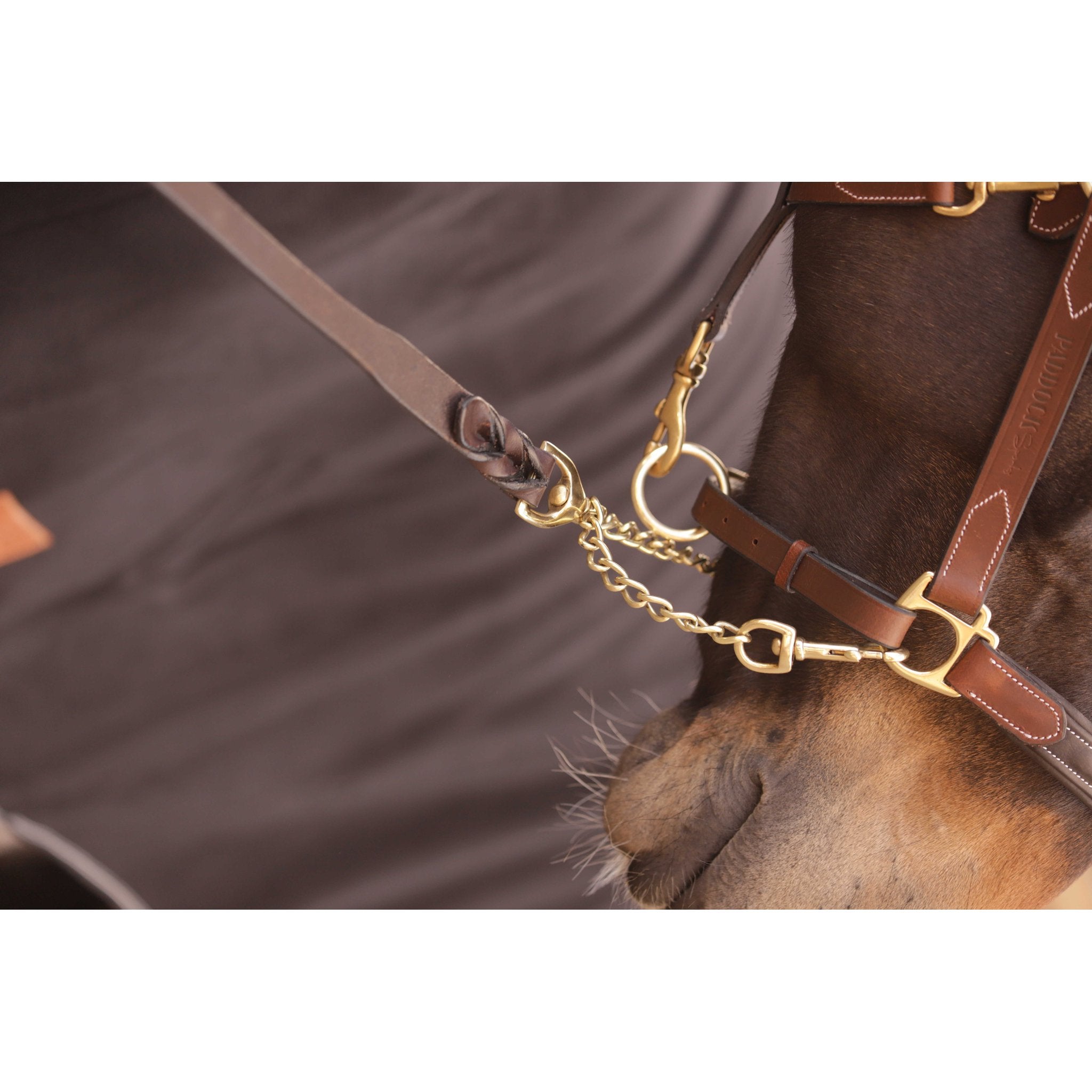 PADDOCK 2.25m Presentation Lead Havana - 520034018_ambi_4