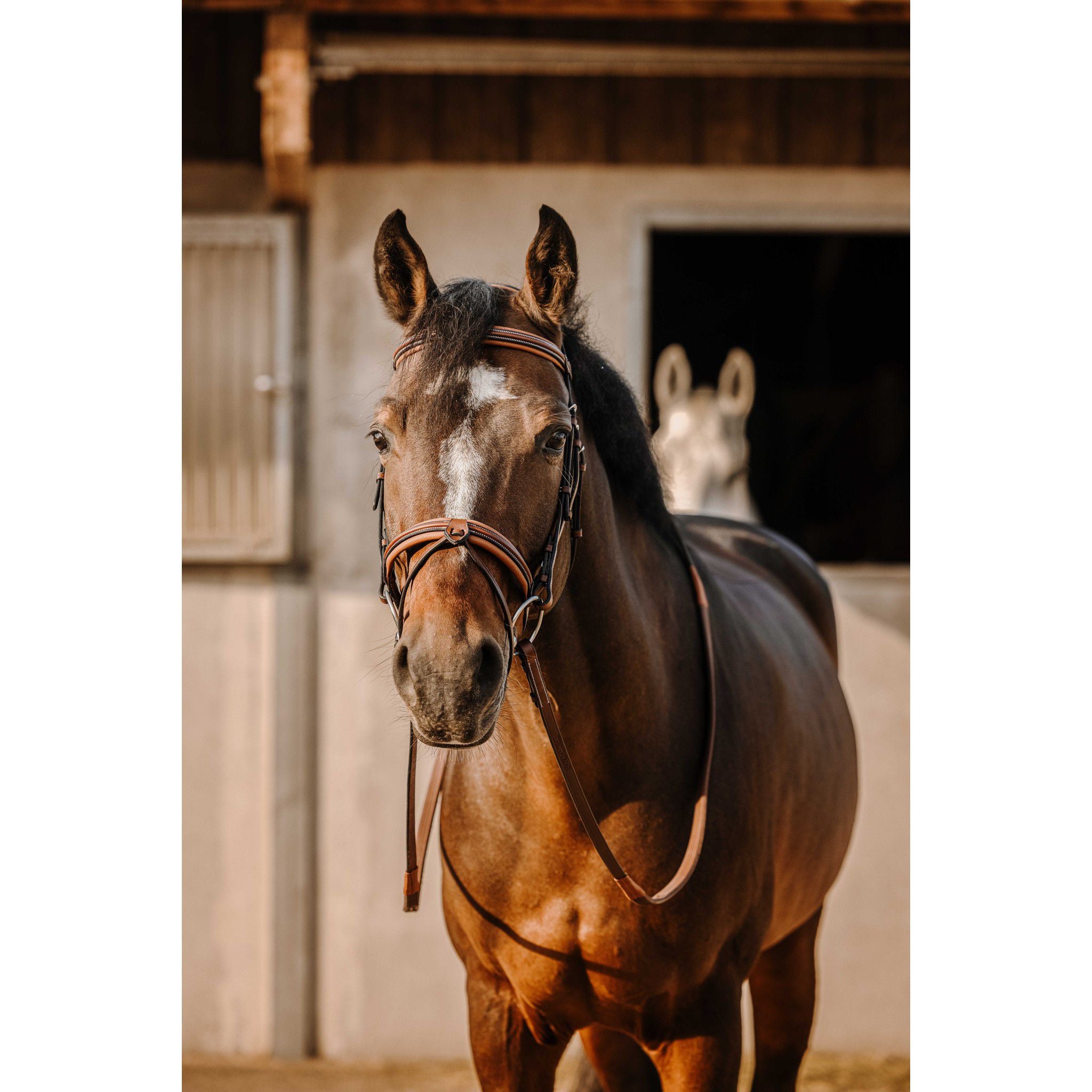 Éric Thomas Work Bridle Havana 301906318