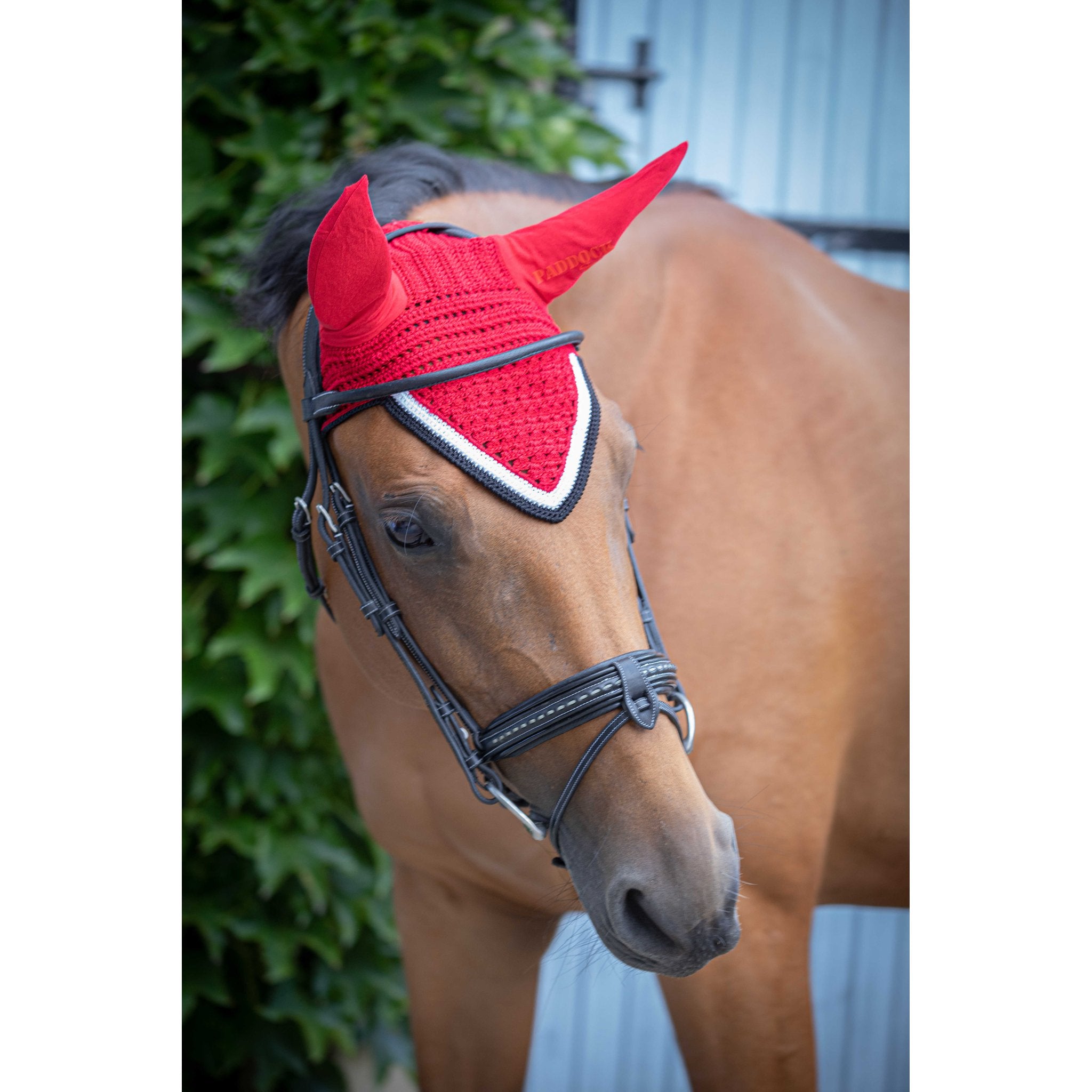 Paddock Sports Origine Fly Veil Red - 306988003_ambi_2