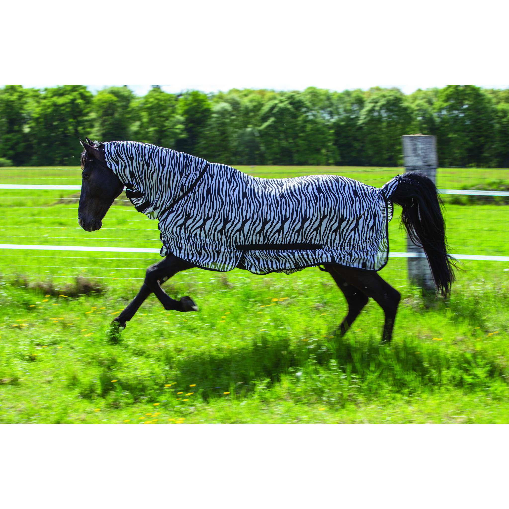 Riding World Mesh sheet - Combo Zebra 400000263