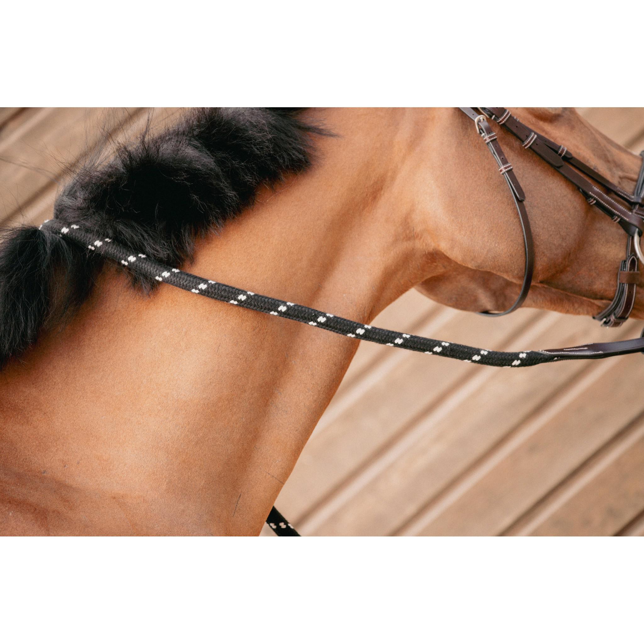 Pénélope ethologic lead rope Black/caramel 520800002