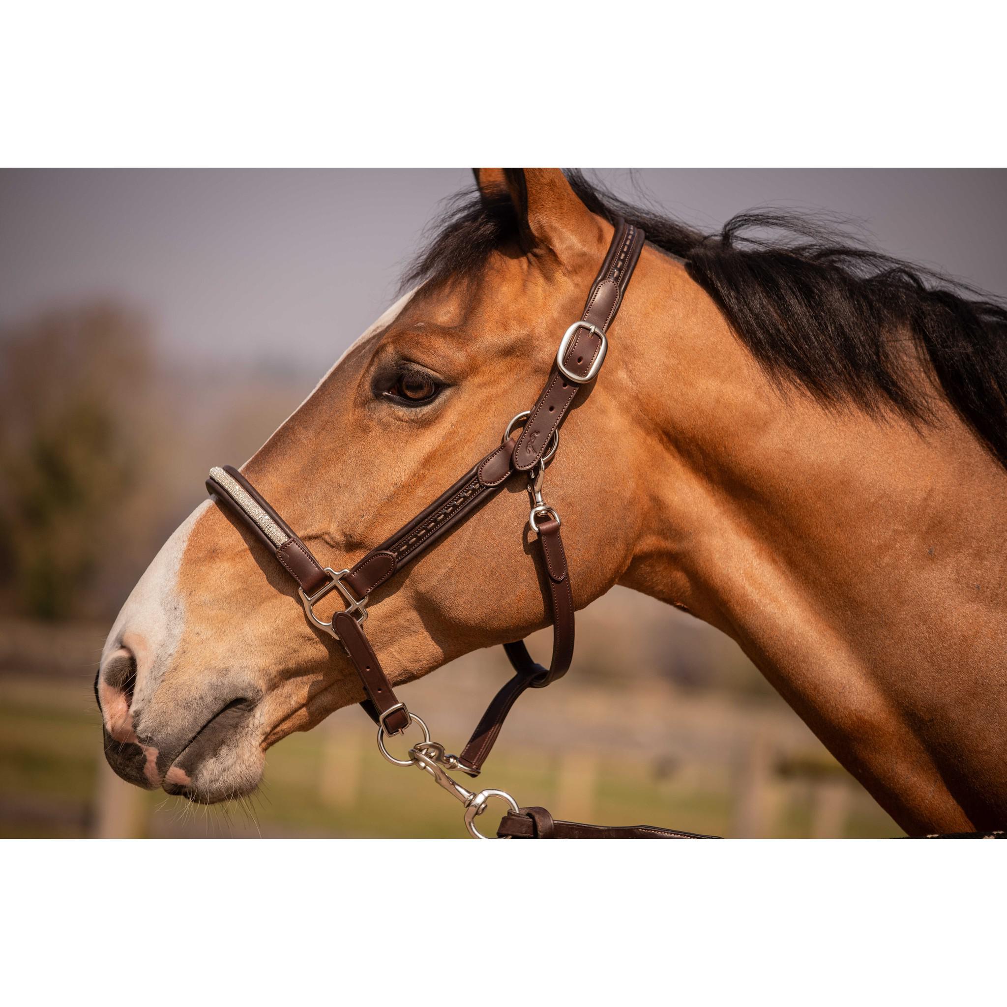 Pénélope Harmonie Halter Havana 301611318