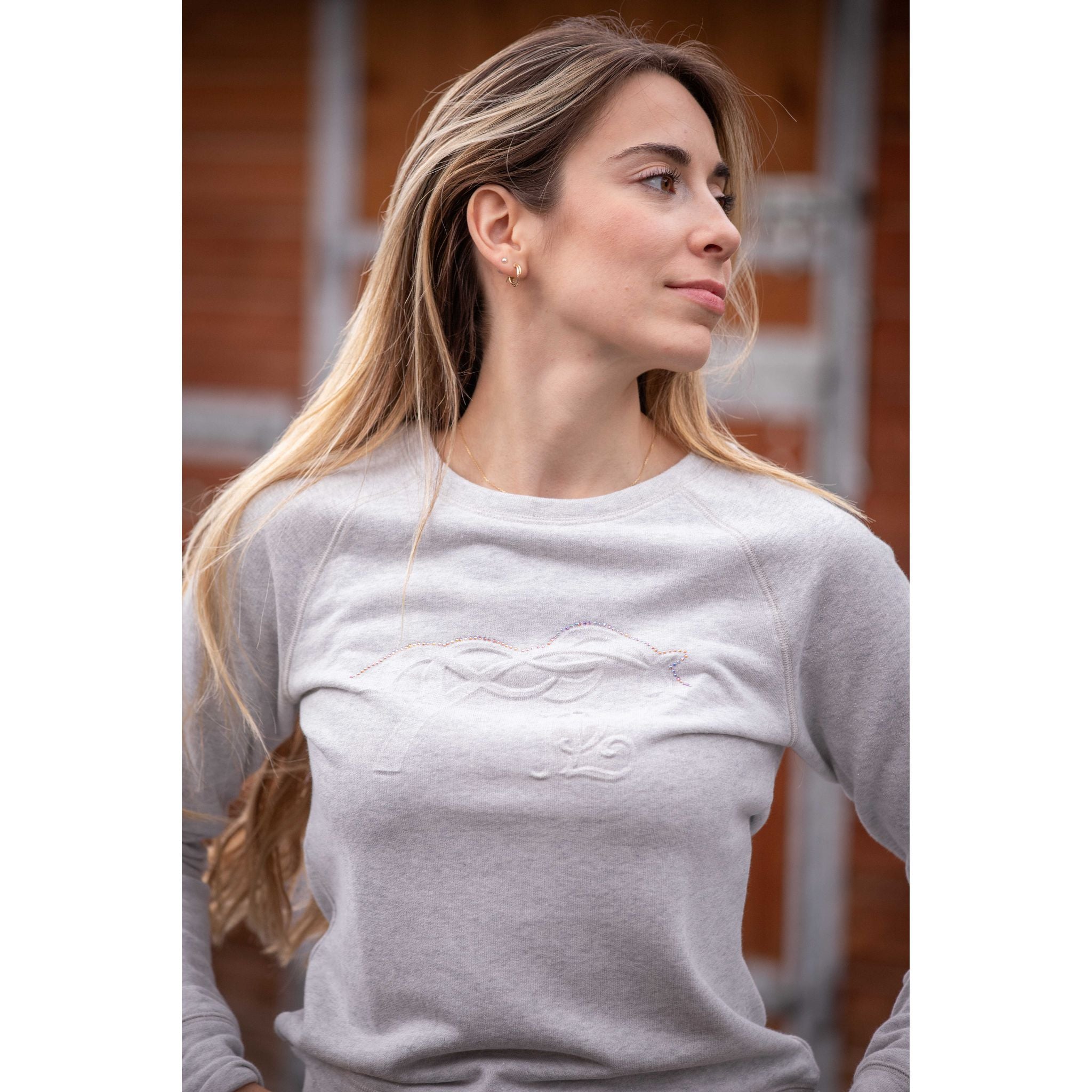Penelope Ully Sweatshirt - Women's Grey - 963349211_ambi_3