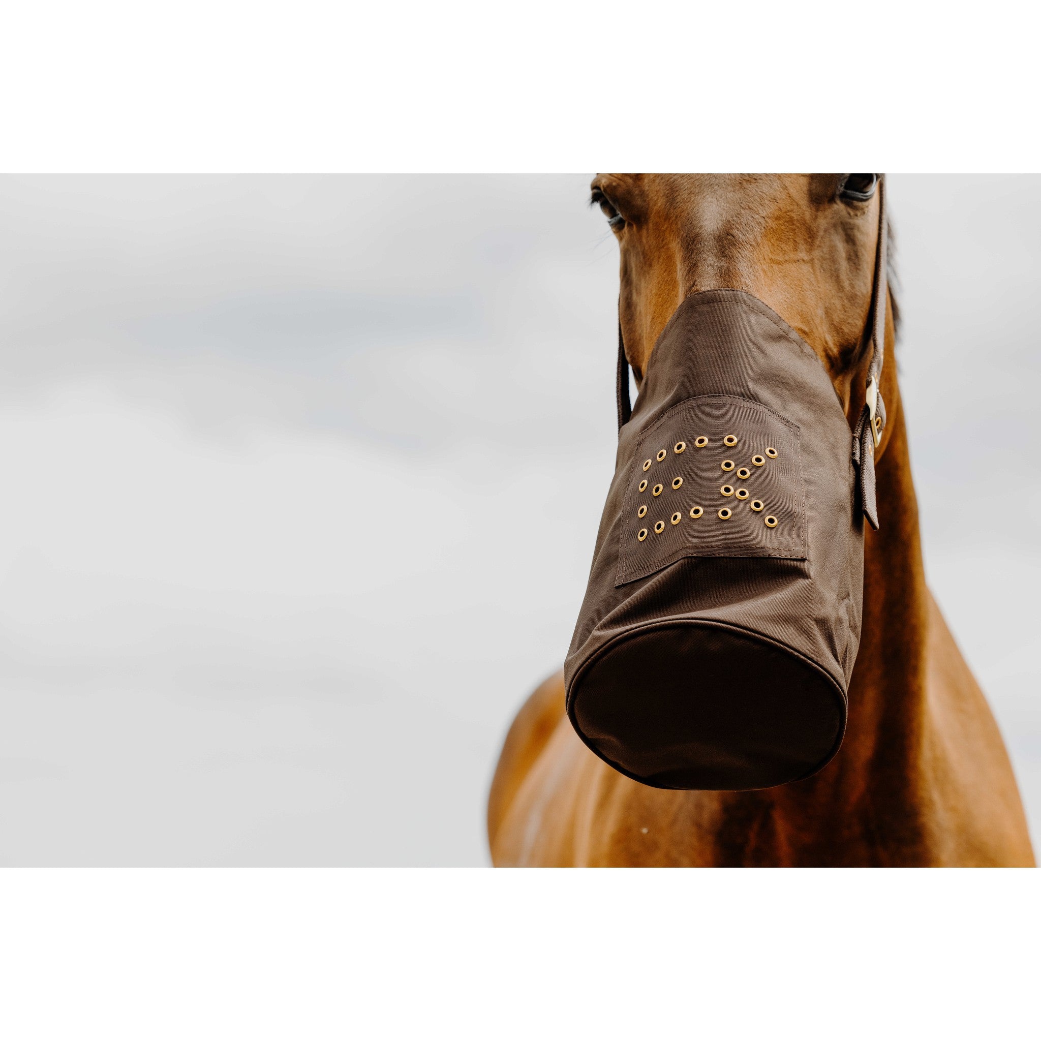 Hippo-Tonic 600D feed bag Brown 306758004