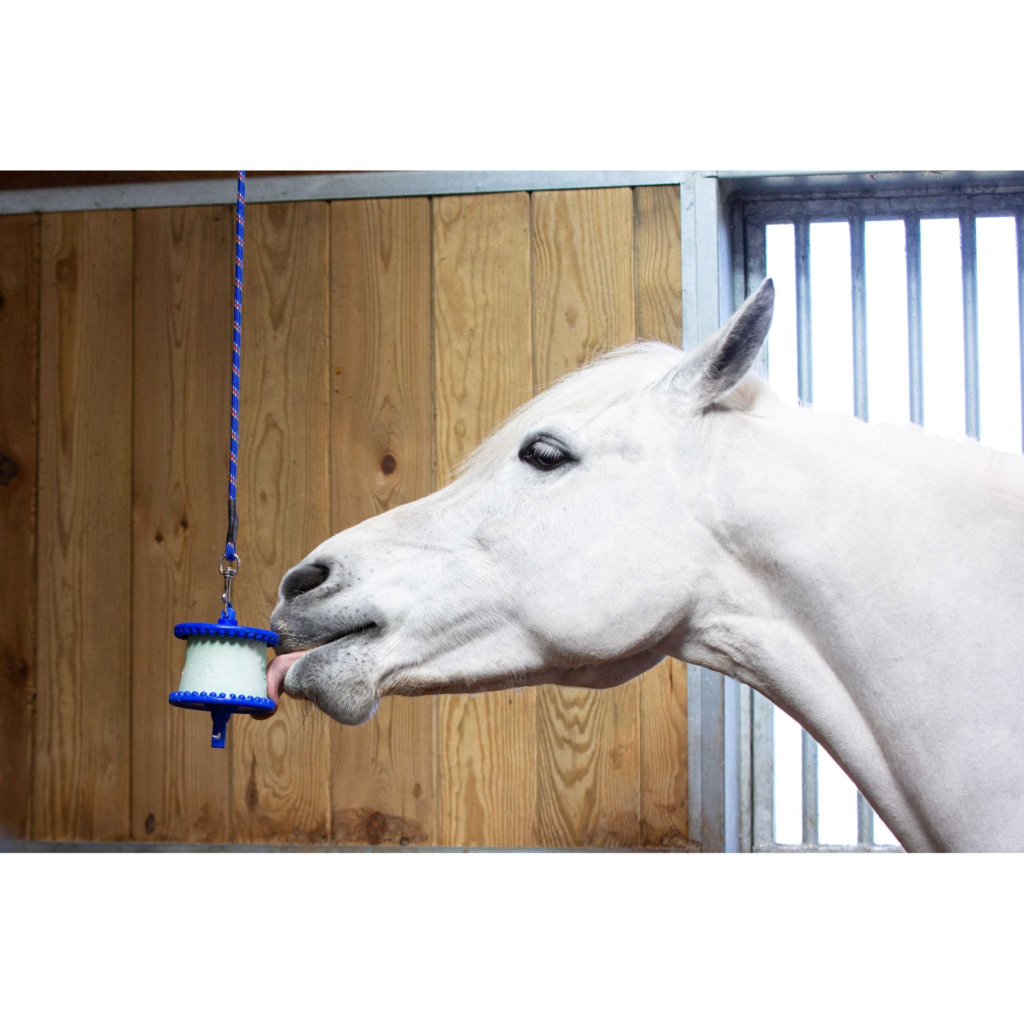 Likit Holder Blue - 380060013_ambi_3