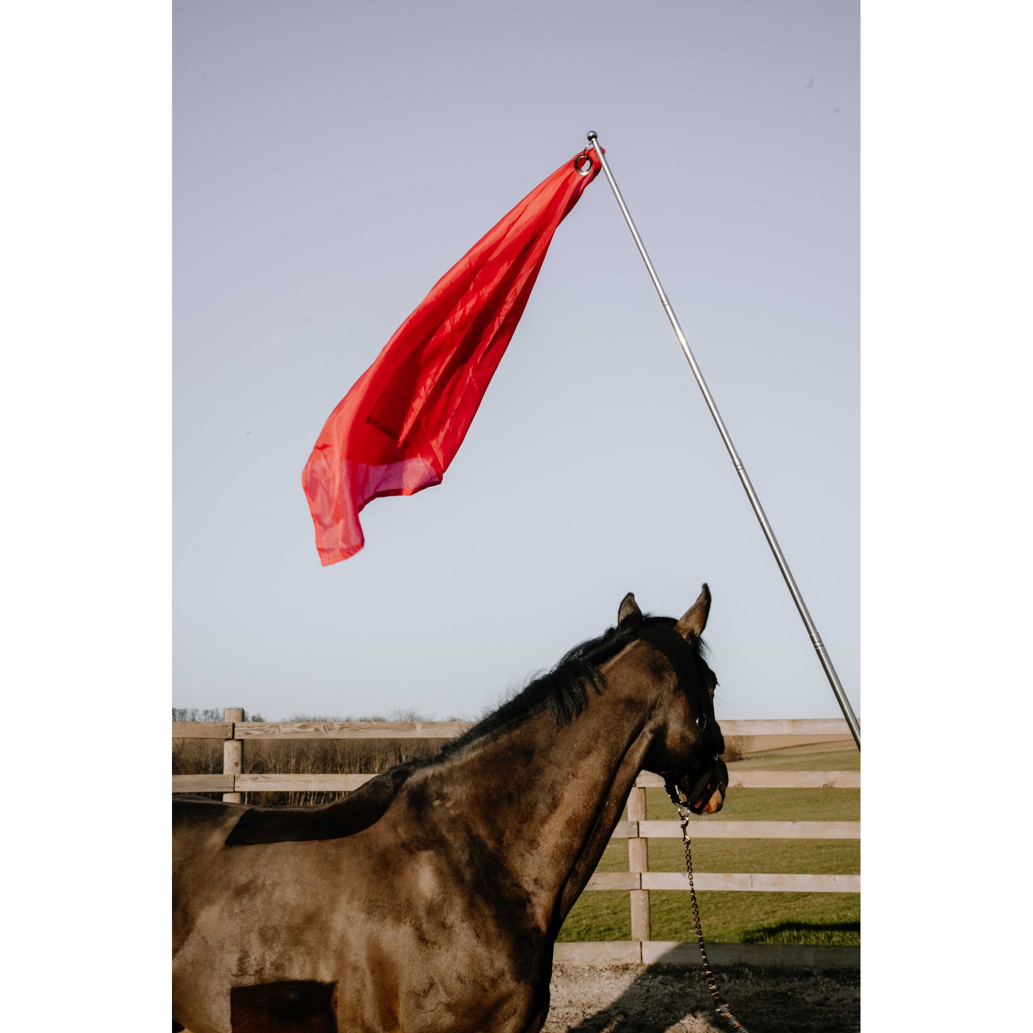 HIPPO-TONIC Desensitization Flag Red - 704170003_ambi_1
