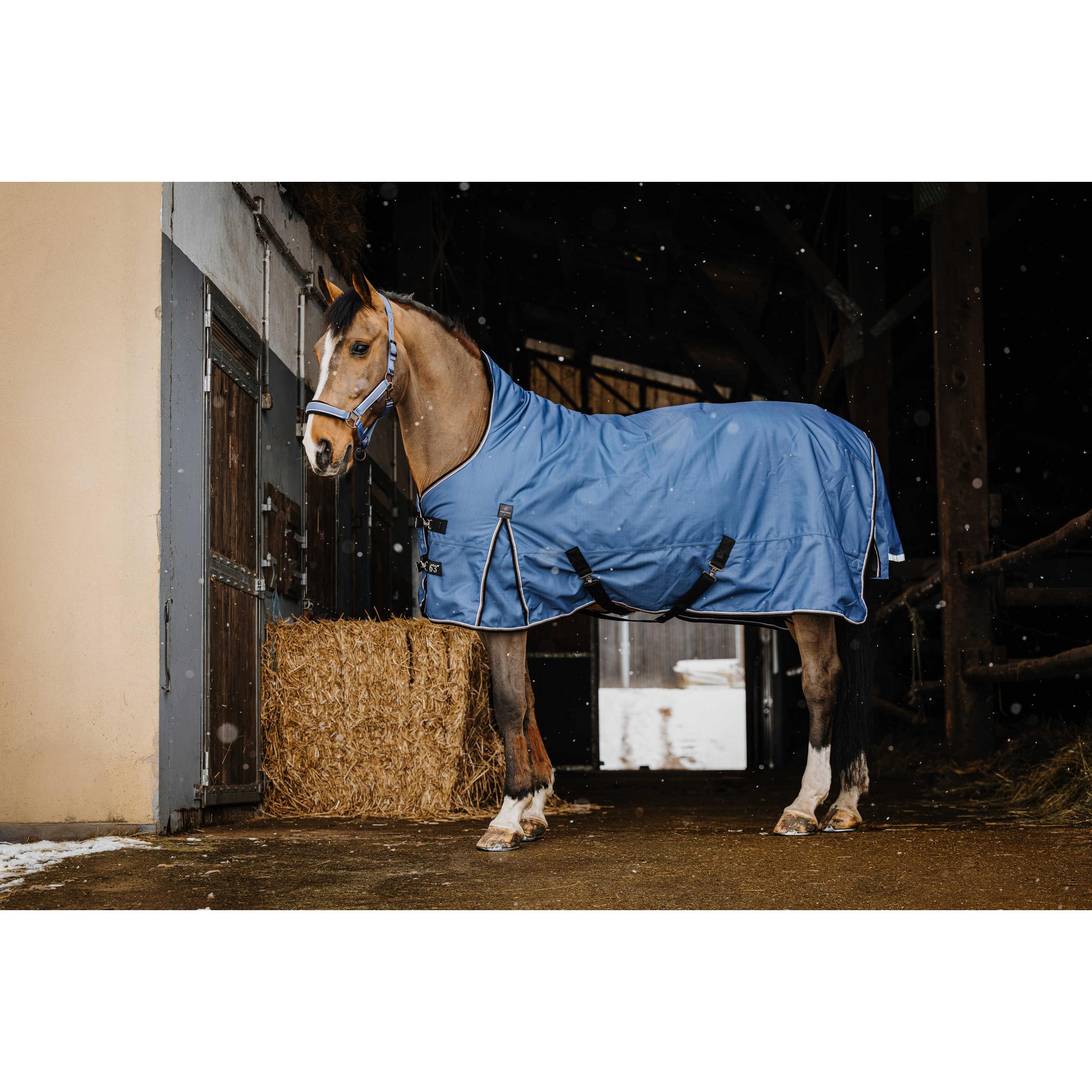 EQUITHÈME TYREX 1200D High Neck Horse Blanket Cobalt Blue - 400600470_ambi_2
