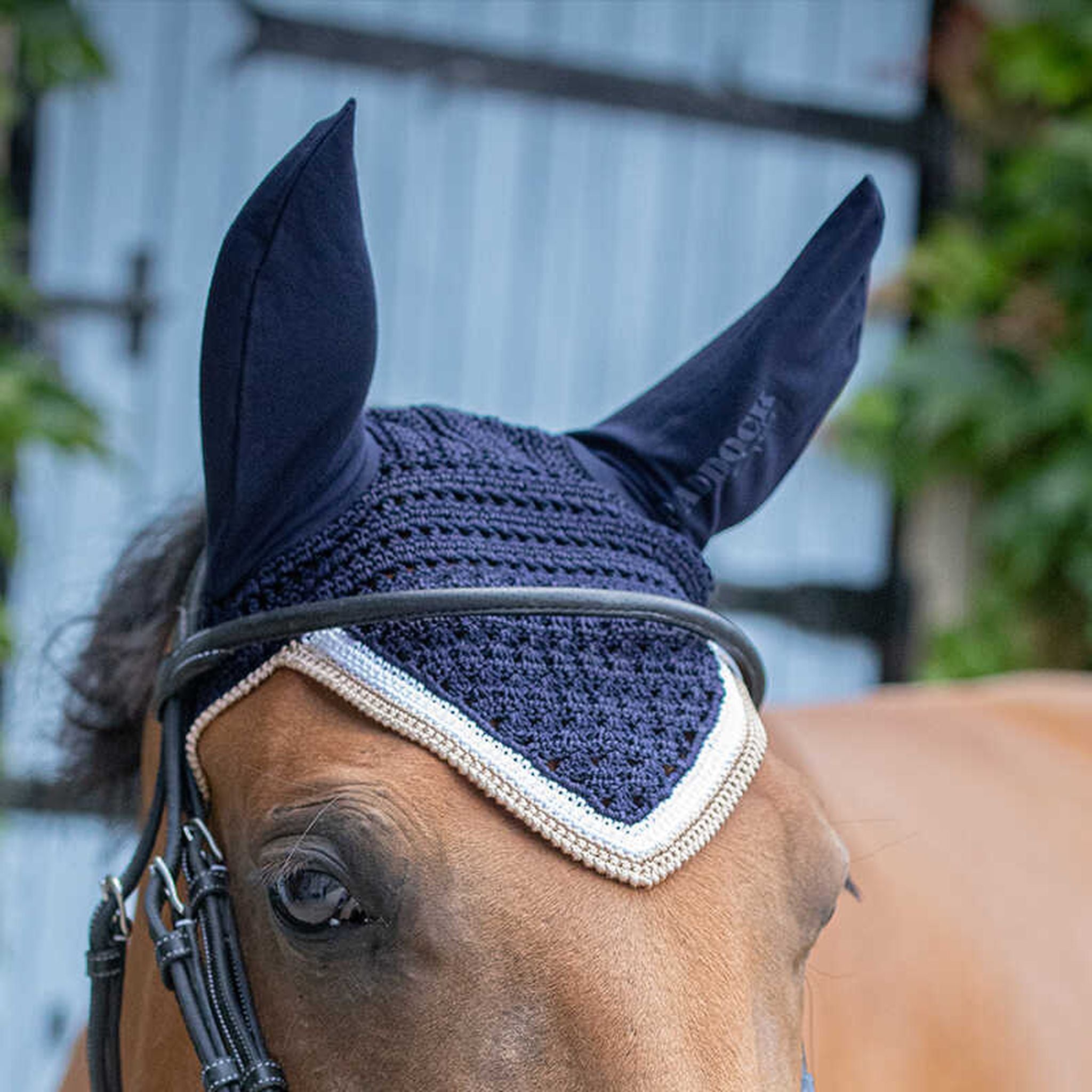 Paddock Sports Origine Fly Veil Navy blue - 306988007_ambi_4