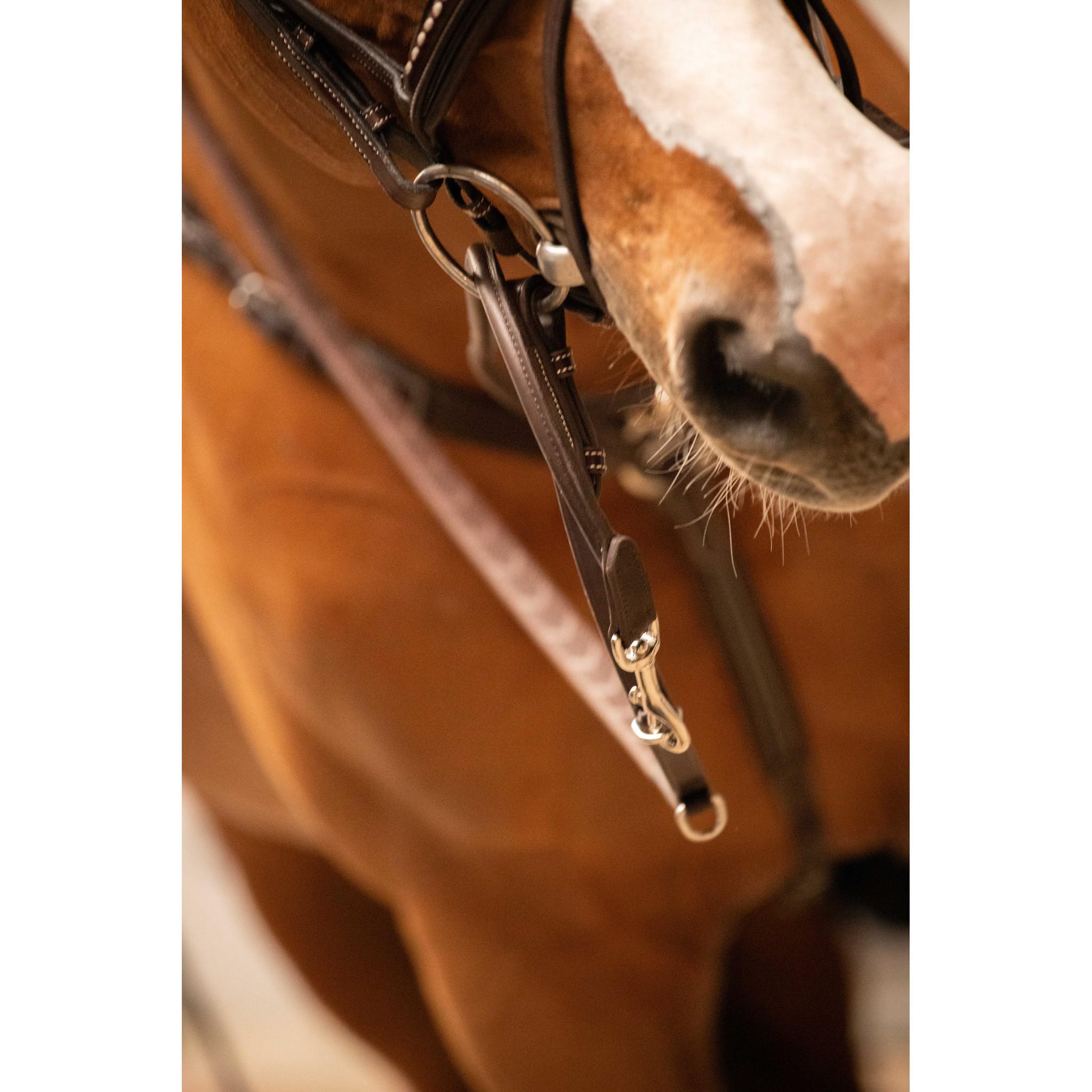 Pénélope Howlett training aid Havana 306103018