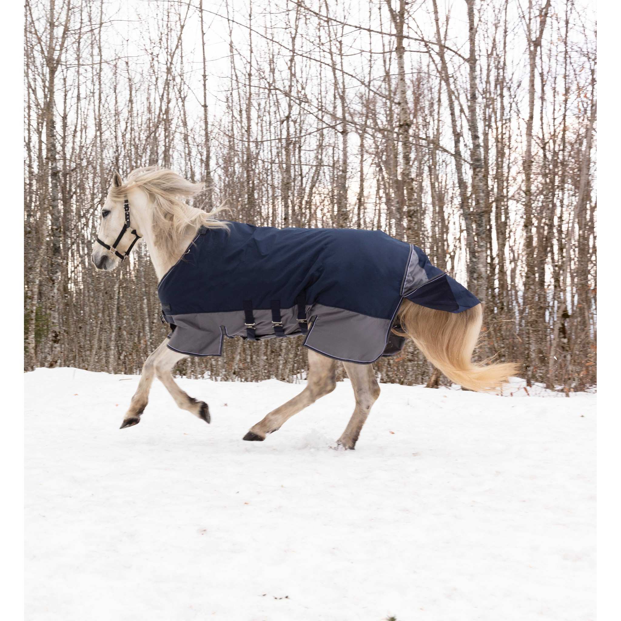 EQUITHÈME Tyrex New 600 D Turnout rug - belly belt Navy blue/grey 400922763