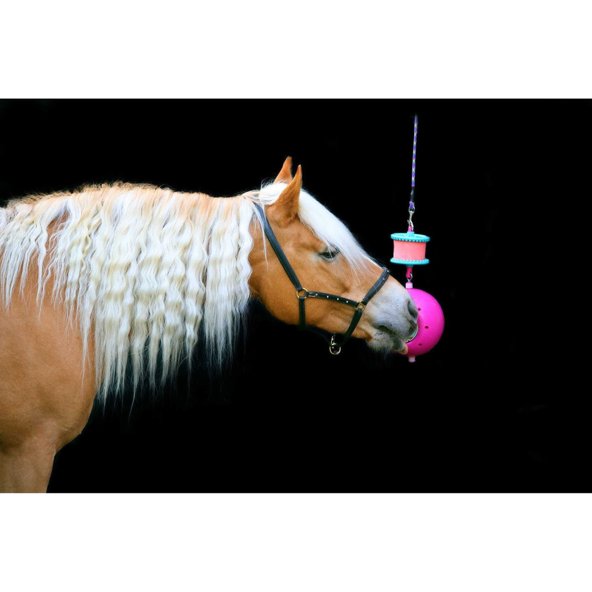 Boredom Breaker Likit - Fuchsia - 380001021_ambi_1