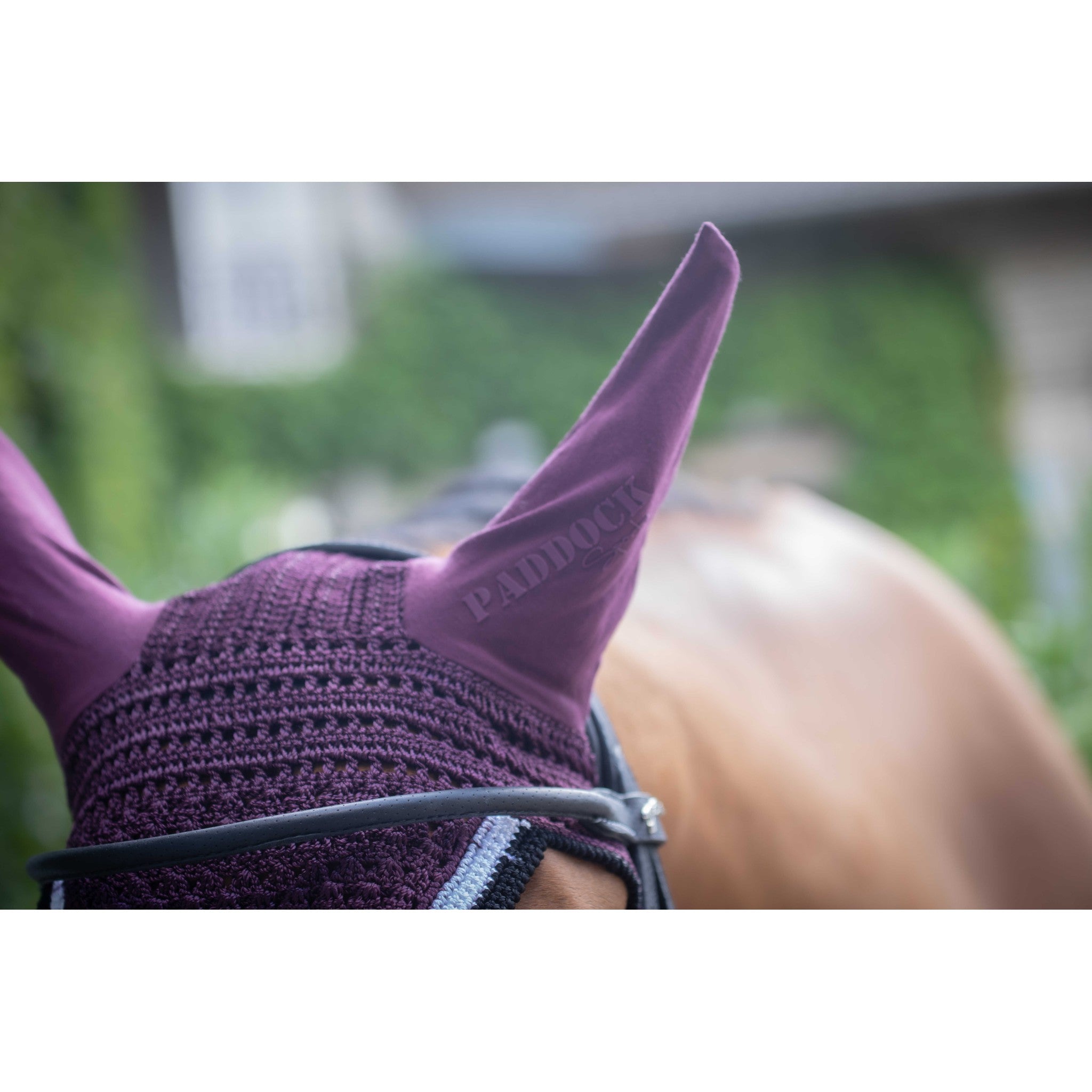 Paddock Sports Origine Fly Veil Plum - 306988034_ambi_5