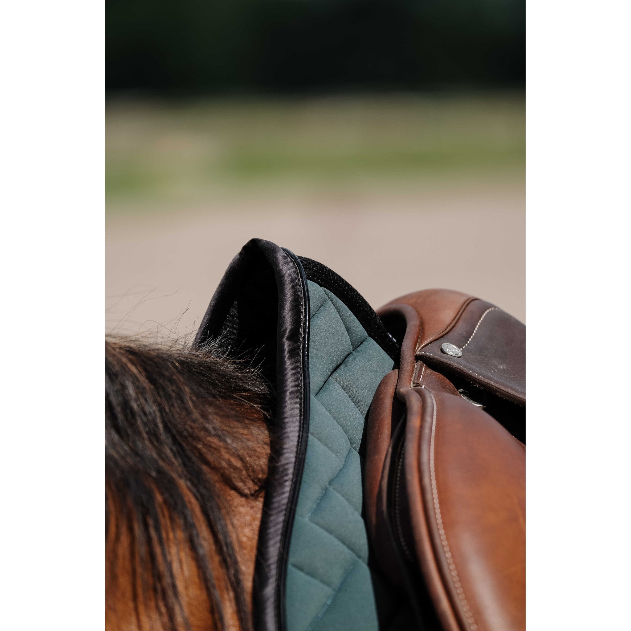 EQUITHÈME Impulsion Saddle Pad - All purpose Green 204006009