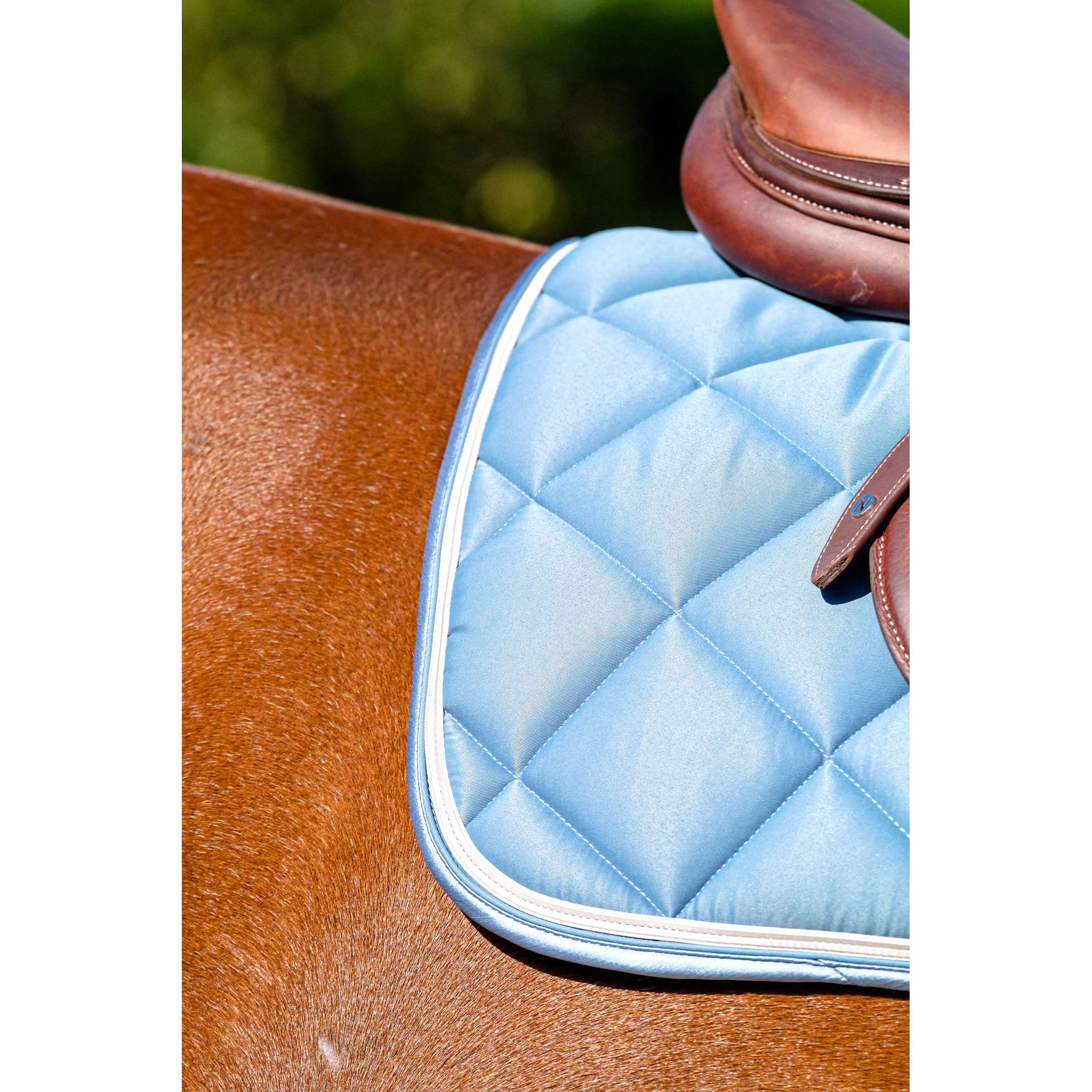 EQUITHÈME Classic All-Purpose Saddle Pad Peacock blue - 204773040_ambi_2