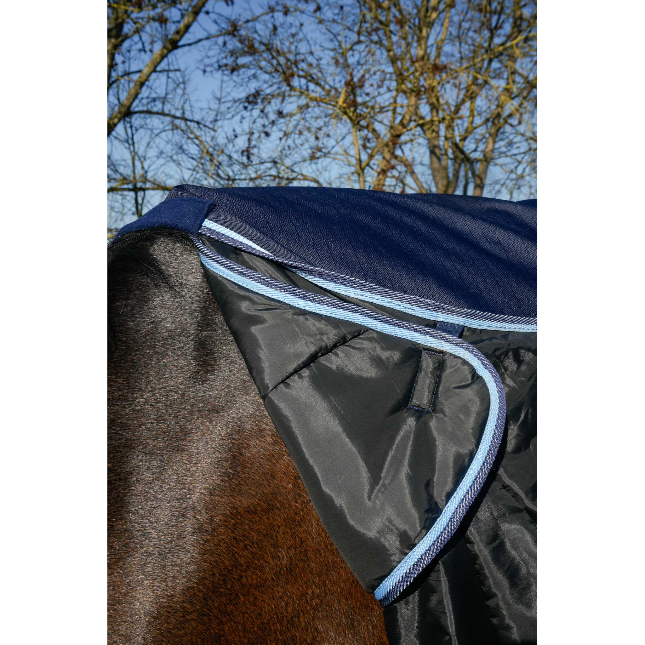 RIDING WORLD First Outdoor Rug Navy blue - 400973070_ambi_6