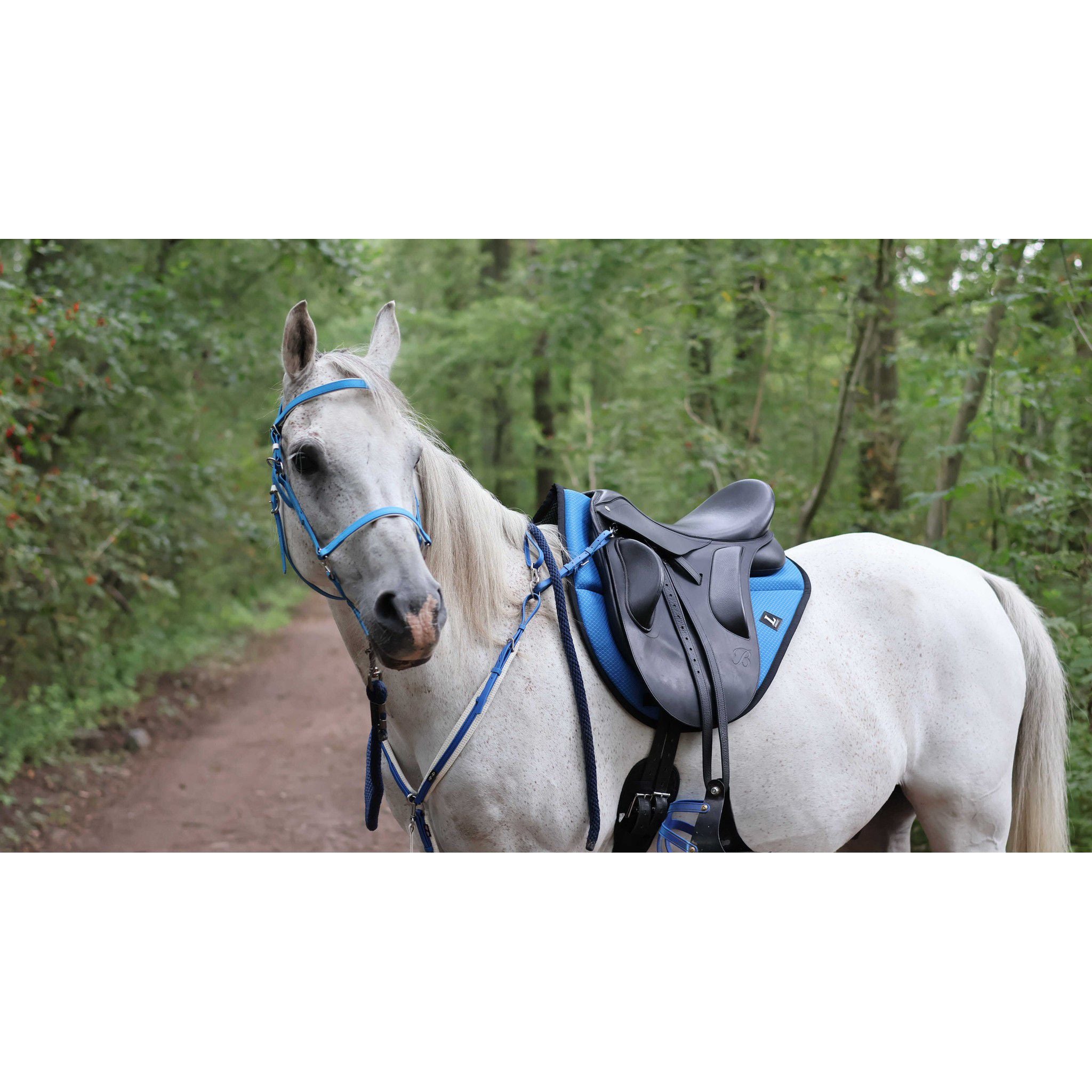 Lami-Cell Endurance Saddle Pad Blue 220036006