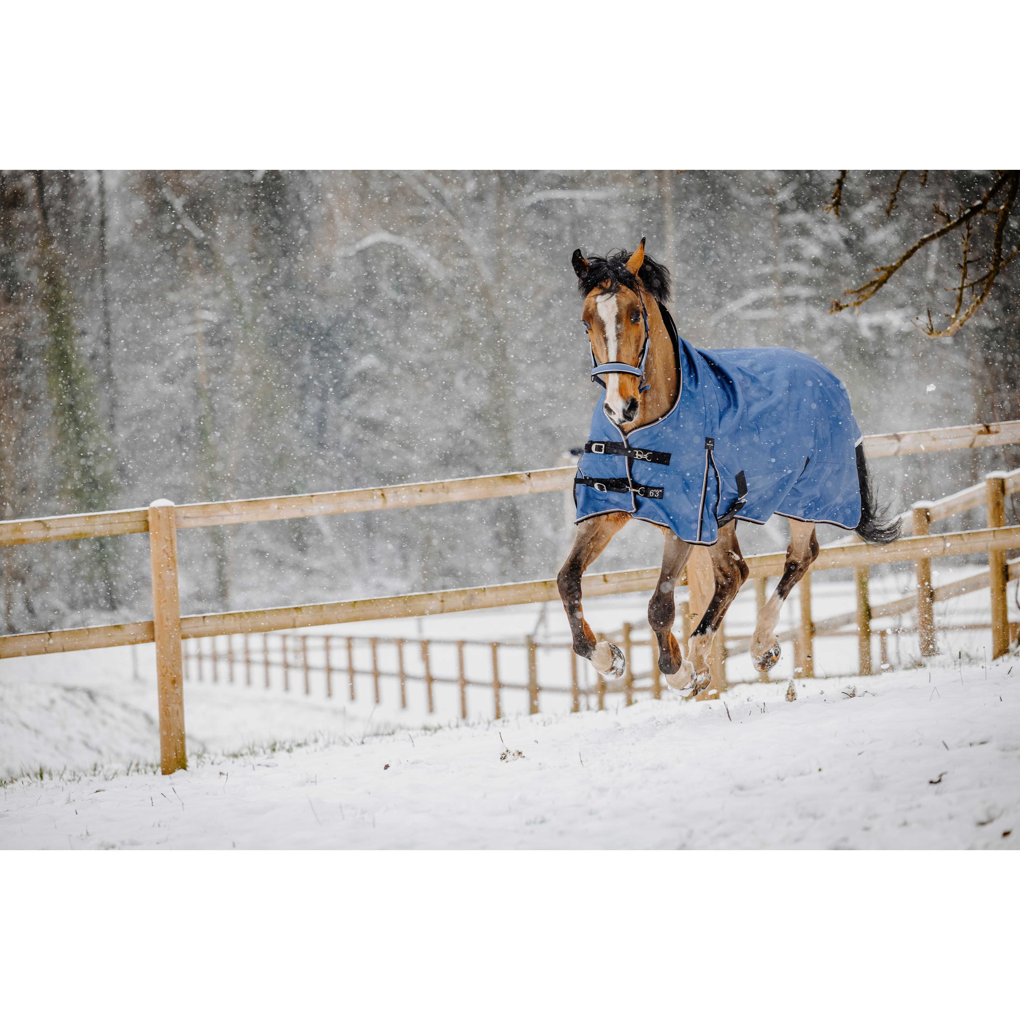 EQUITHÈME TYREX 1200D High Neck Horse Blanket Cobalt Blue - 400600470_ambi_11