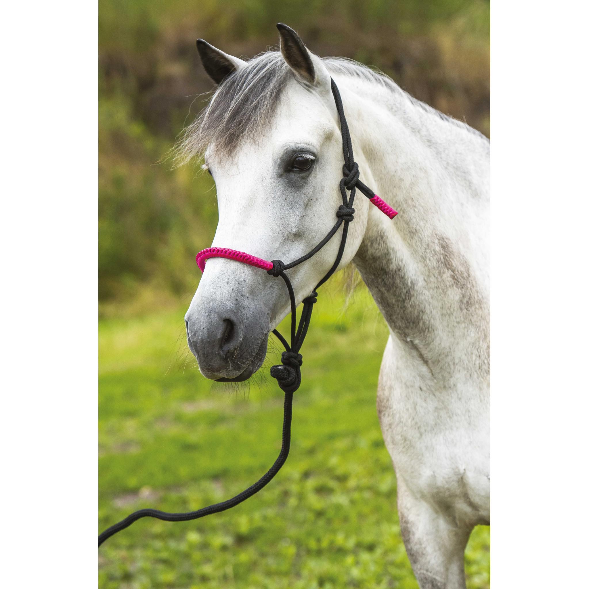 Norton Fun colour Ethological halter + lead rope Black/neon green 510160328